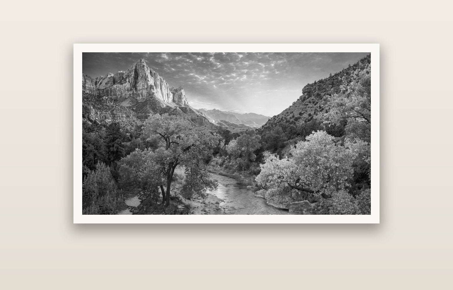 Canyon Evening, Zion National Park — Hahnemühle fine art print, 120 × 70 cm. New Zealand fine art landscape photography by Stephen Milner.
