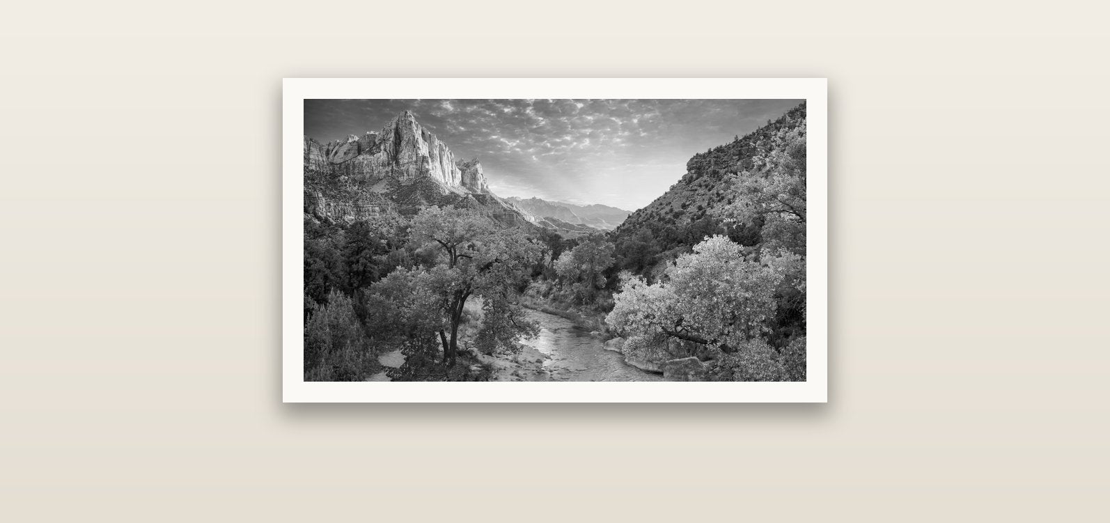 Canyon Evening, Zion National Park — Hahnemühle fine art print, 61 × 36 cm. New Zealand fine art landscape photography by Stephen Milner.