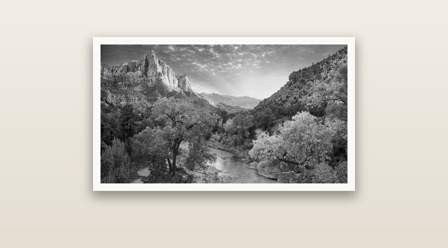 Canyon Evening, Zion National Park — Hahnemühle fine art print, 91 × 51 cm. New Zealand fine art landscape photography by Stephen Milner.