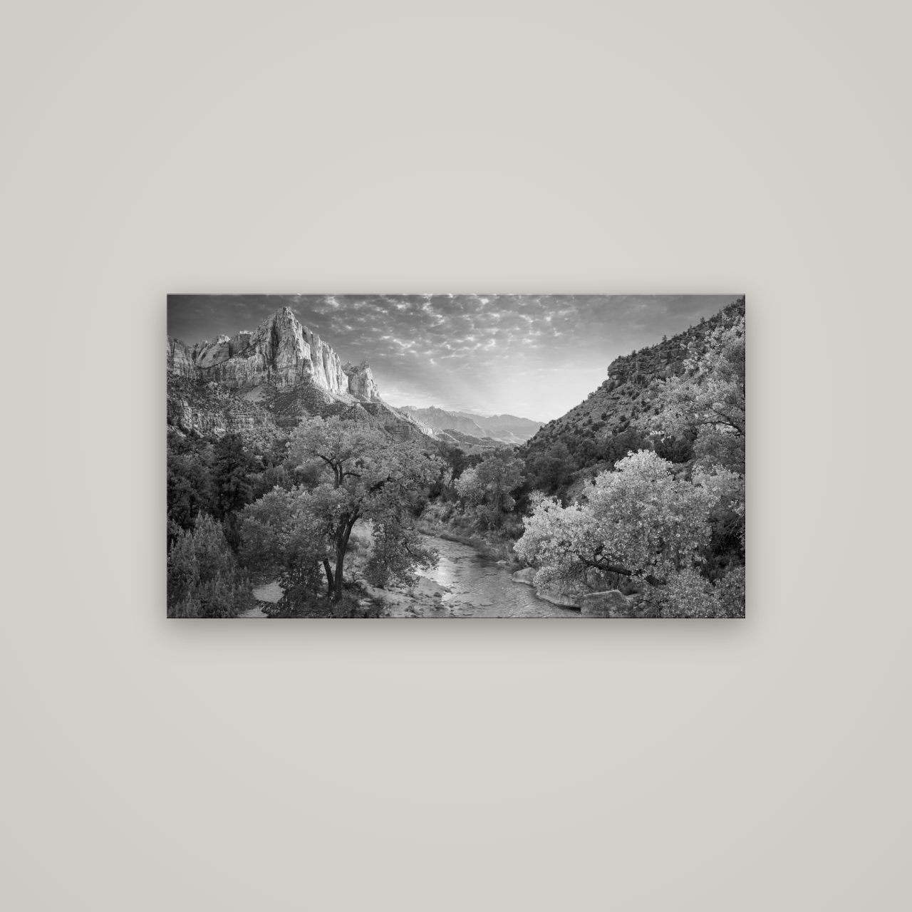 Canyon Evening, Zion National Park — No frame, 107×60 cm. New Zealand fine art wall art by Stephen Milner.