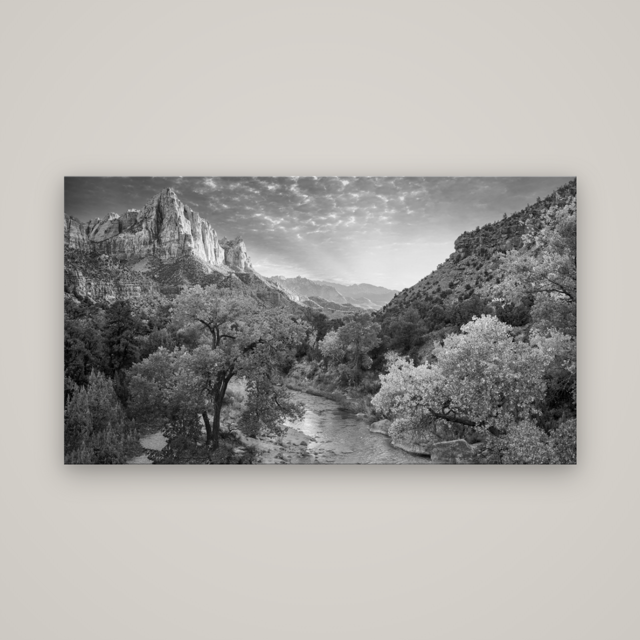 Canyon Evening, Zion National Park — No frame, 160×90 cm. New Zealand fine art wall art by Stephen Milner.