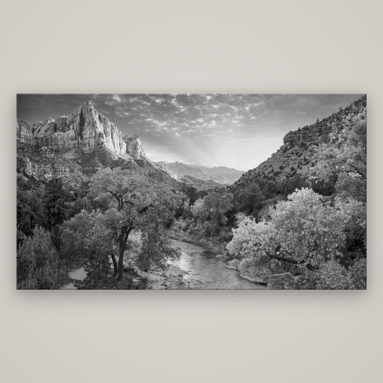 Canyon Evening, Zion National Park — No frame, 196×110 cm. New Zealand fine art wall art by Stephen Milner.