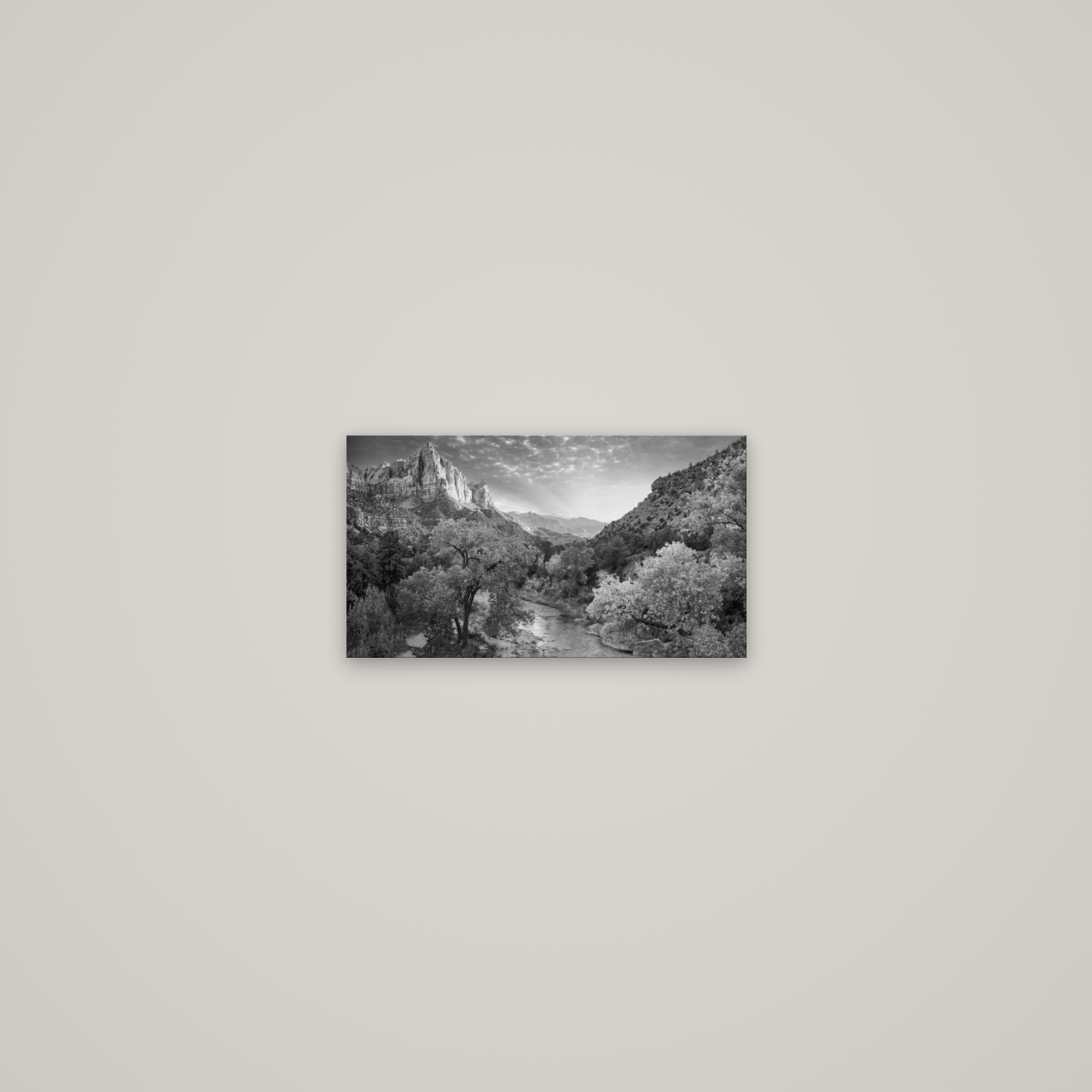 Canyon Evening, Zion National Park — No frame, 36×20 cm. New Zealand fine art wall art by Stephen Milner.