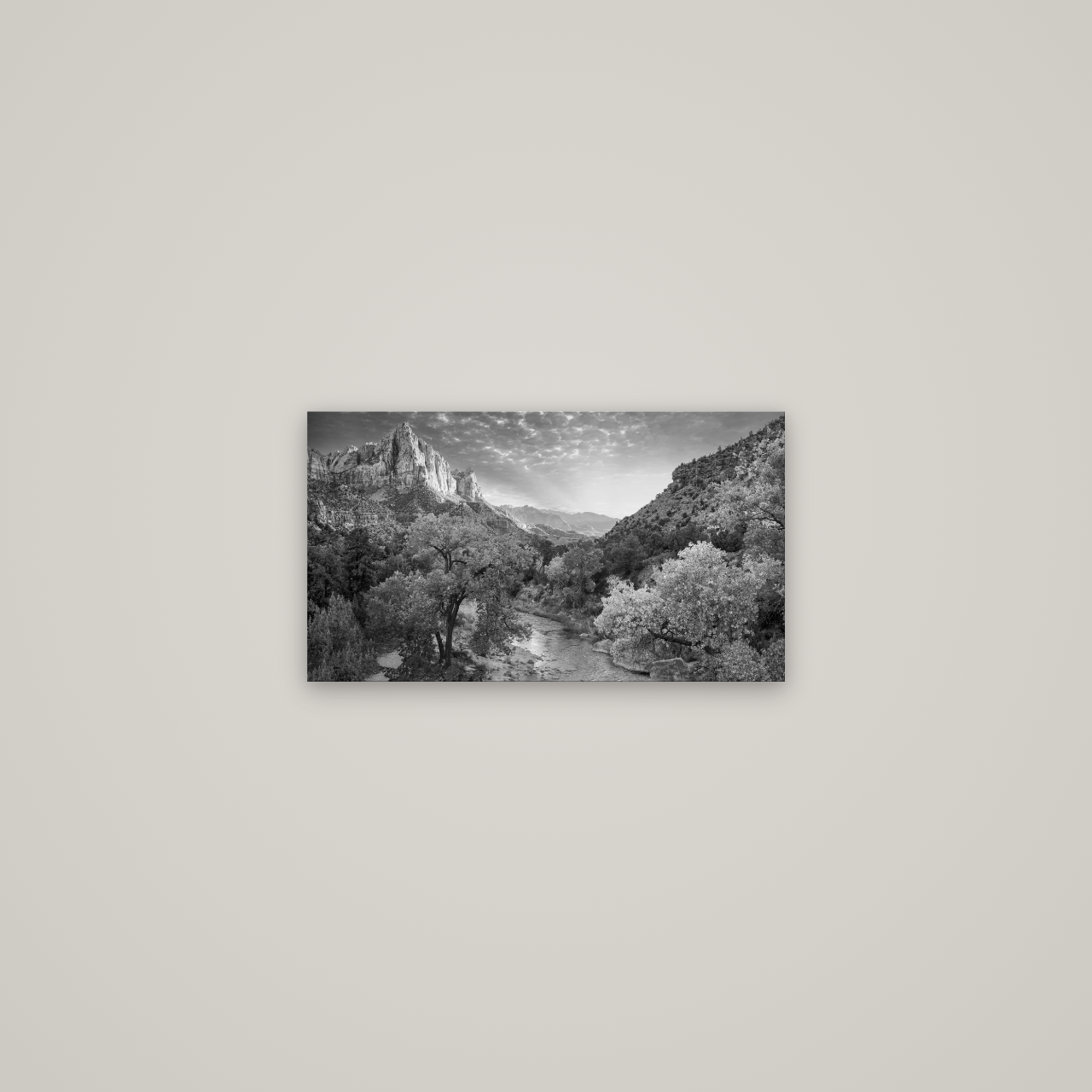 Canyon Evening, Zion National Park — No frame, 53×30 cm. New Zealand fine art wall art by Stephen Milner.