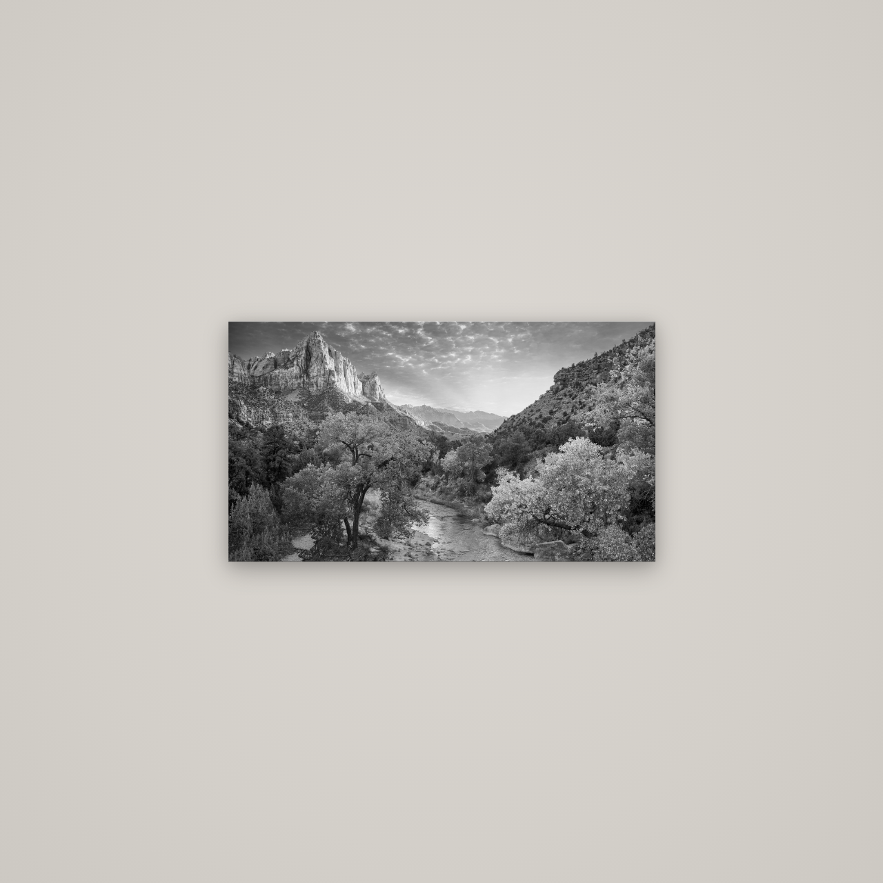 Canyon Evening, Zion National Park — No frame, 64×36 cm. New Zealand fine art wall art by Stephen Milner.