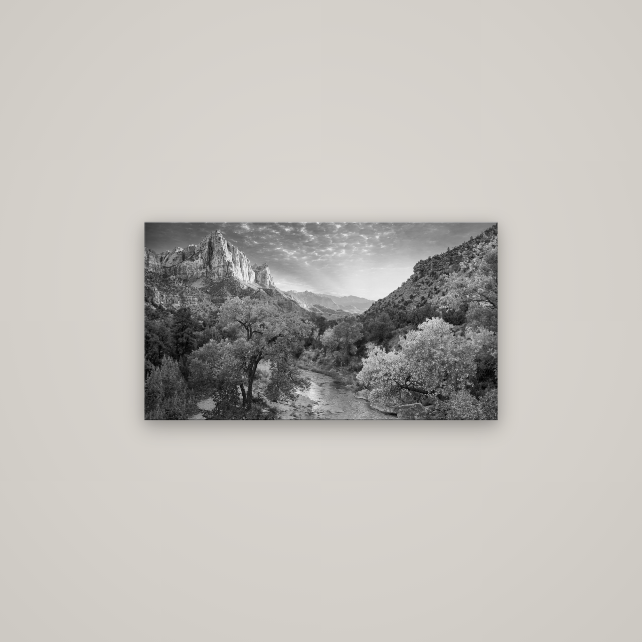 Canyon Evening, Zion National Park — No frame, 80×45 cm. New Zealand fine art wall art by Stephen Milner.