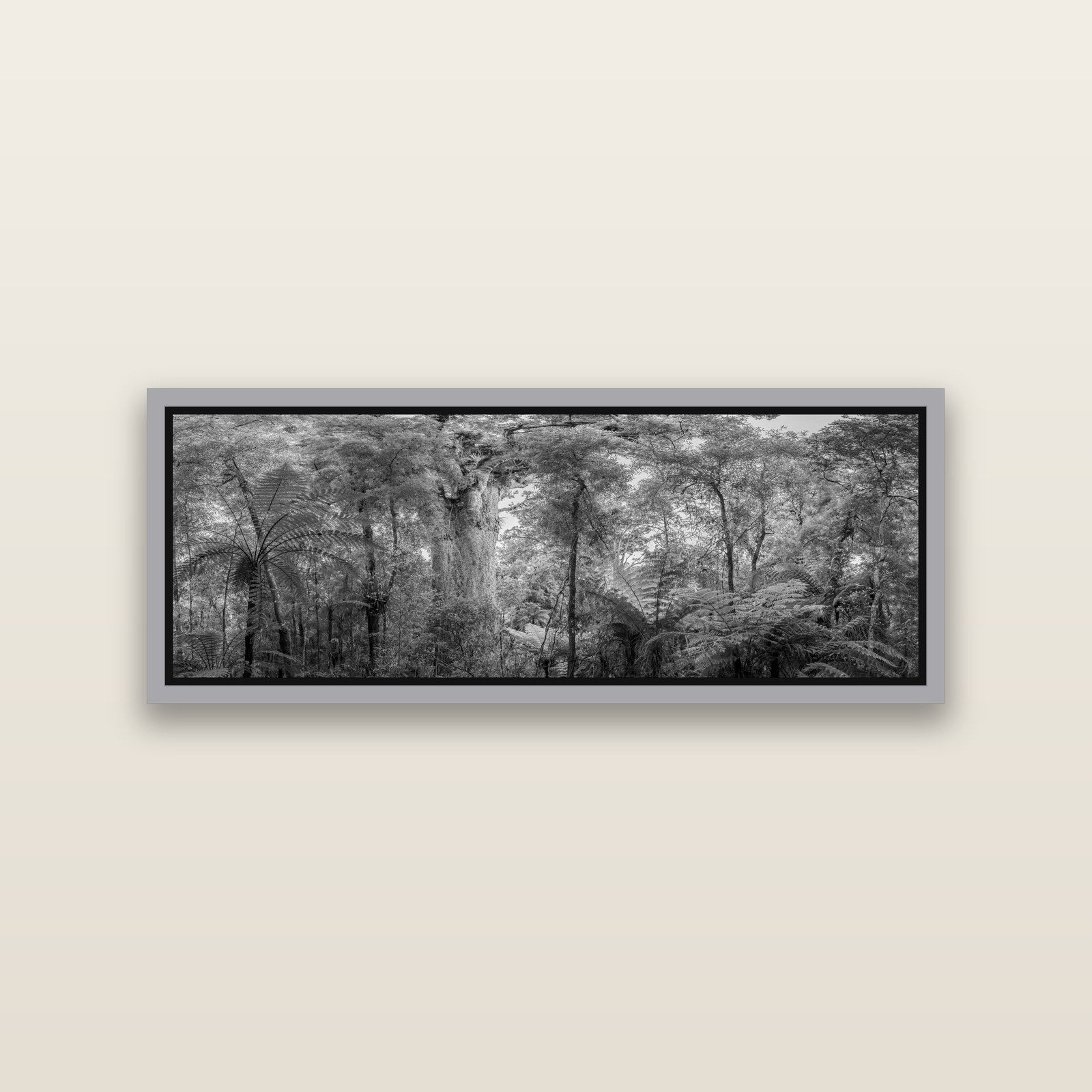 Cathedral of Giants, Ancient Kauri, Dargaville — Antique Silver framed metallic canvas print, small 86 × 30 cm. New Zealand fine art landscape wall art by Stephen Milner.