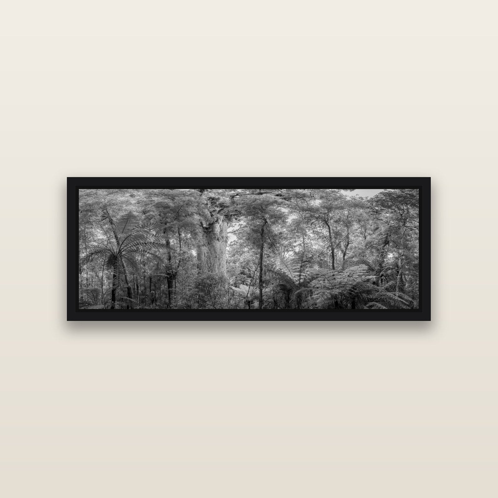 Cathedral of Giants, Ancient Kauri, Dargaville — Black framed metallic canvas print, small 86 × 30 cm. New Zealand fine art landscape wall art by Stephen Milner.