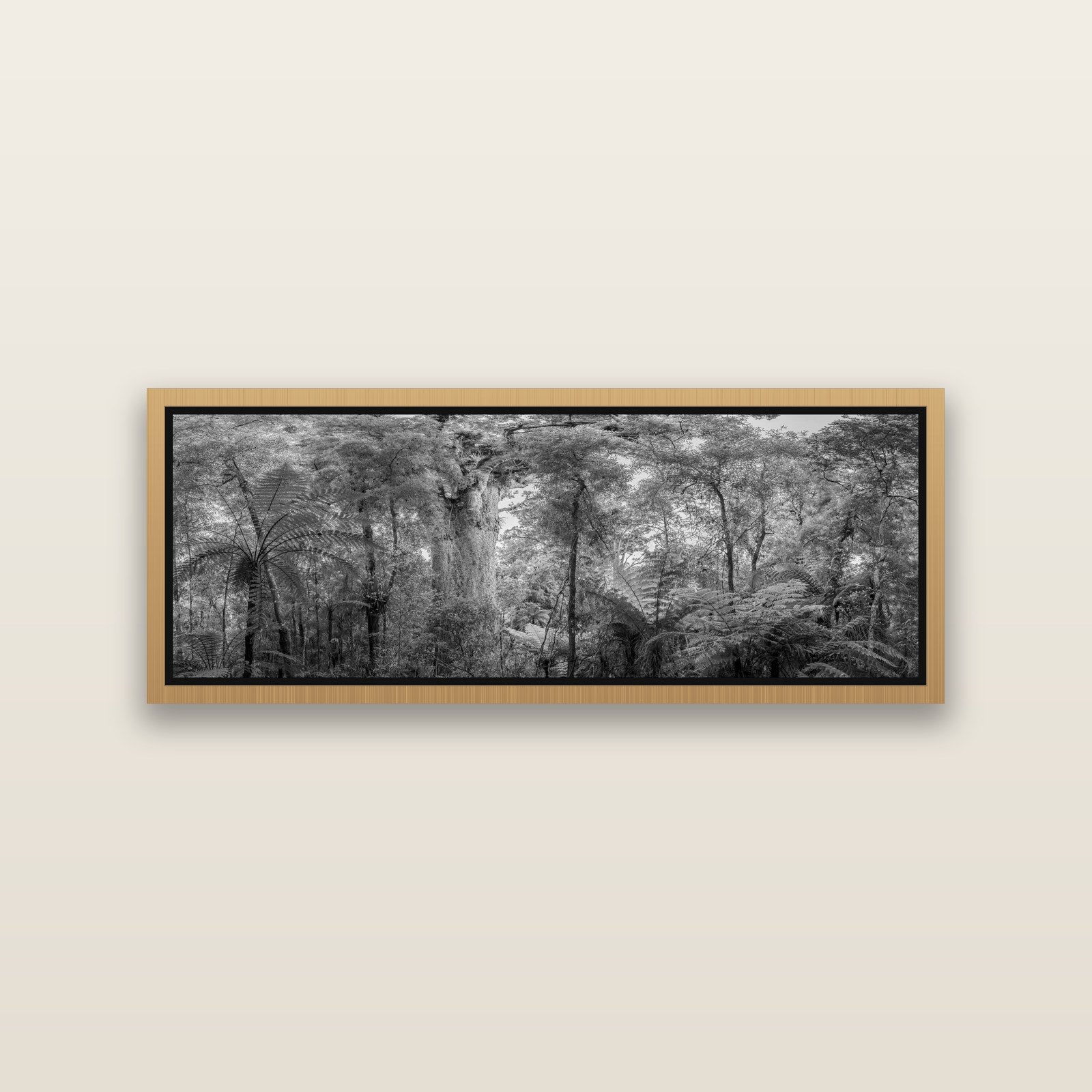 Cathedral of Giants, Ancient Kauri, Dargaville — Natural framed metallic canvas print, small 86 × 30 cm. New Zealand fine art landscape wall art by Stephen Milner.
