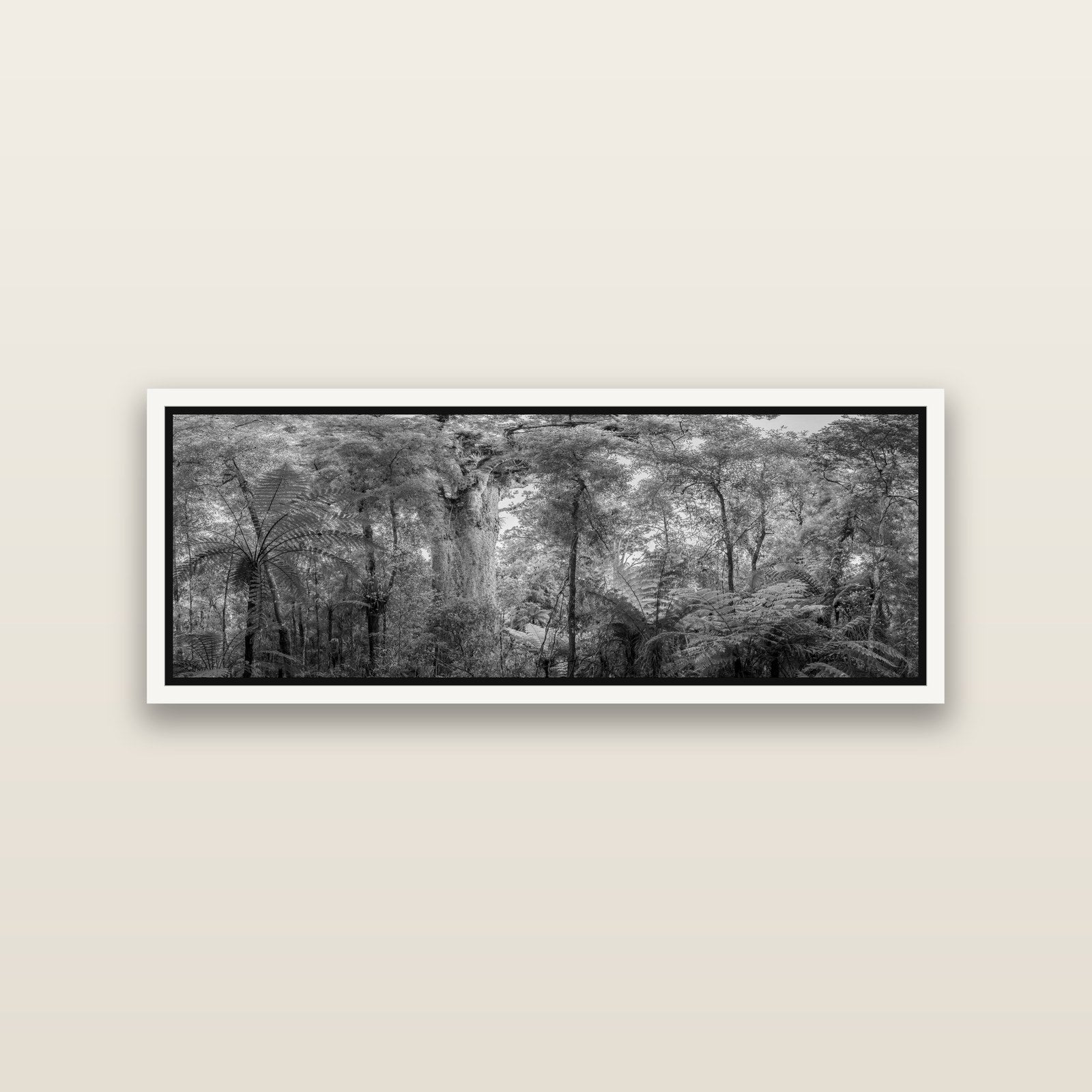 Cathedral of Giants, Ancient Kauri, Dargaville — White framed metallic canvas print, small 86 × 30 cm. New Zealand fine art landscape wall art by Stephen Milner.