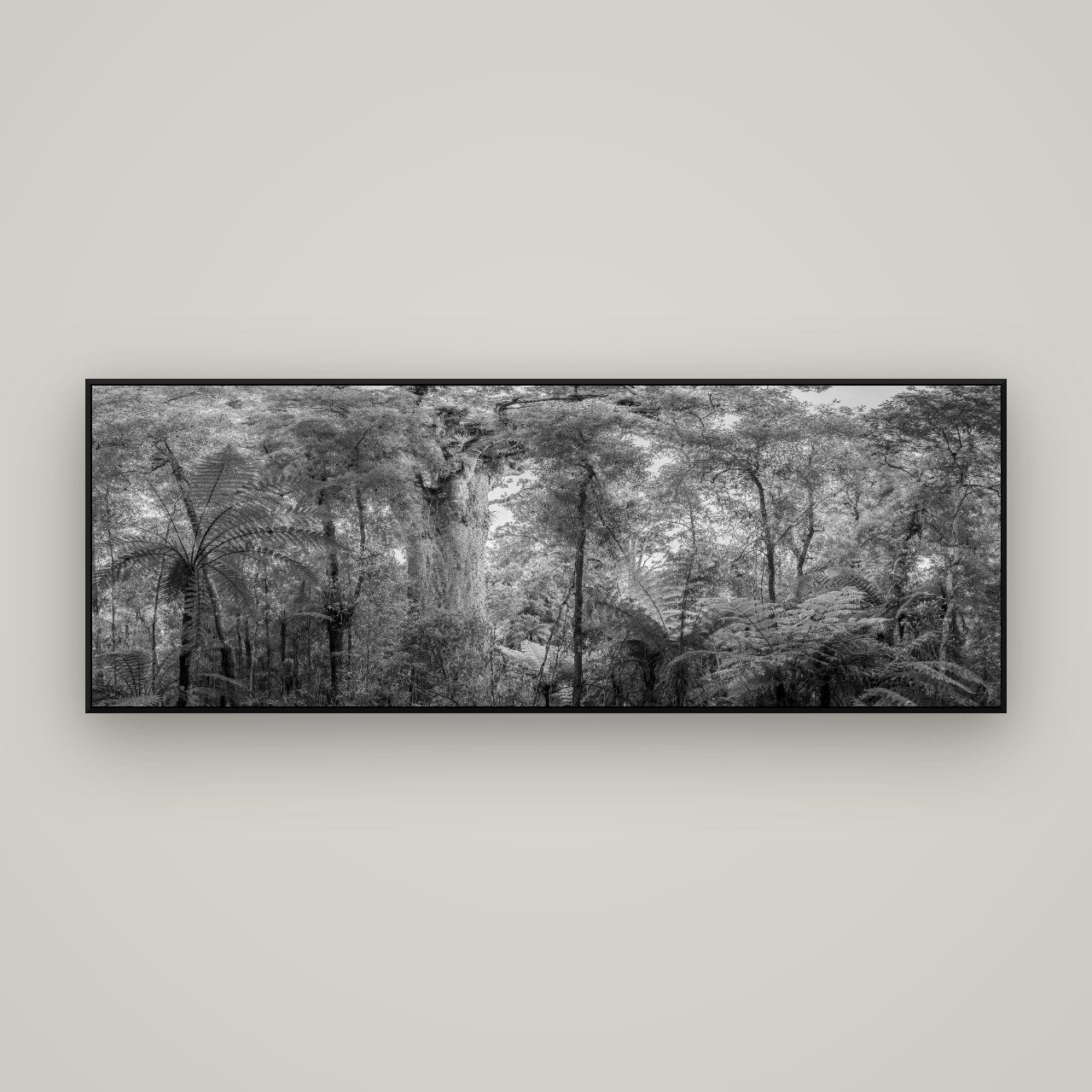 Cathedral of Giants, Ancient Kauri, Dargaville — ArtBox Black, 170×60 cm. New Zealand fine art wall art by Stephen Milner.