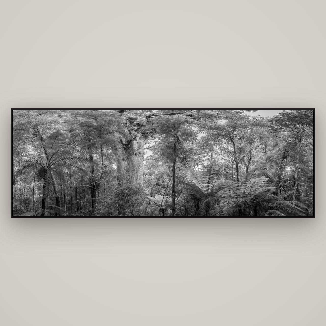 Cathedral of Giants, Ancient Kauri, Dargaville — ArtBox Black, 198×70 cm. New Zealand fine art wall art by Stephen Milner.