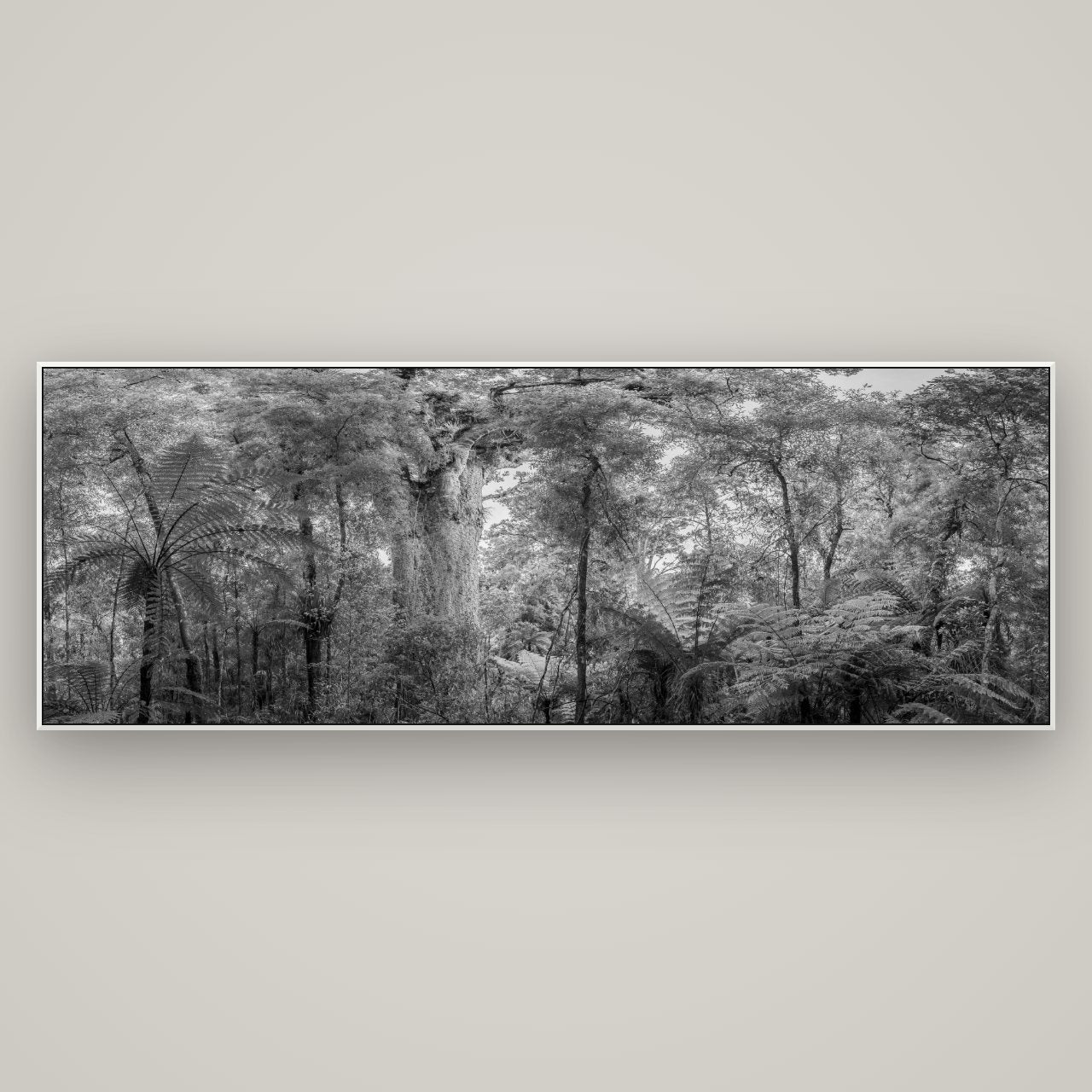 Cathedral of Giants, Ancient Kauri, Dargaville — ArtBox White, 198×70 cm. New Zealand fine art wall art by Stephen Milner.