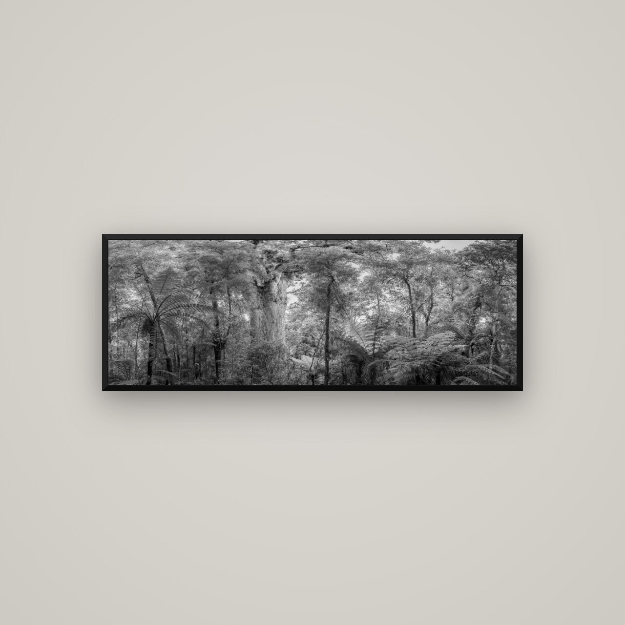 Cathedral of Giants, Ancient Kauri, Dargaville — Basel Black, 113×40 cm. New Zealand fine art wall art by Stephen Milner.