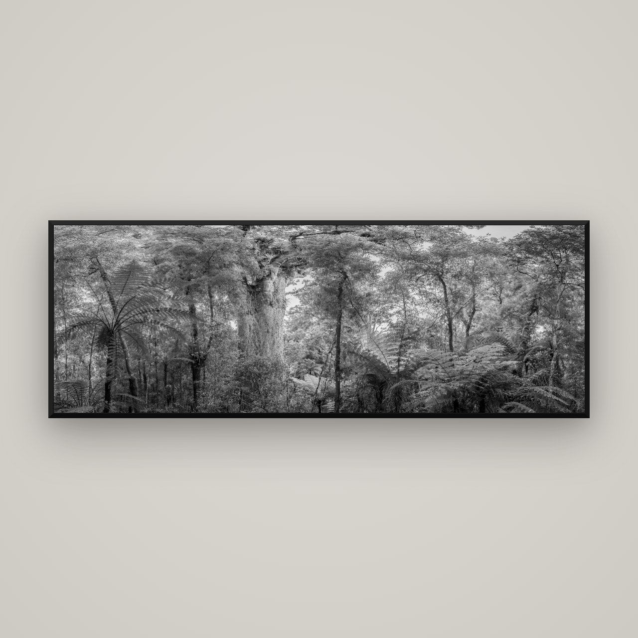 Cathedral of Giants, Ancient Kauri, Dargaville — Basel Black, 170×60 cm. New Zealand fine art wall art by Stephen Milner.