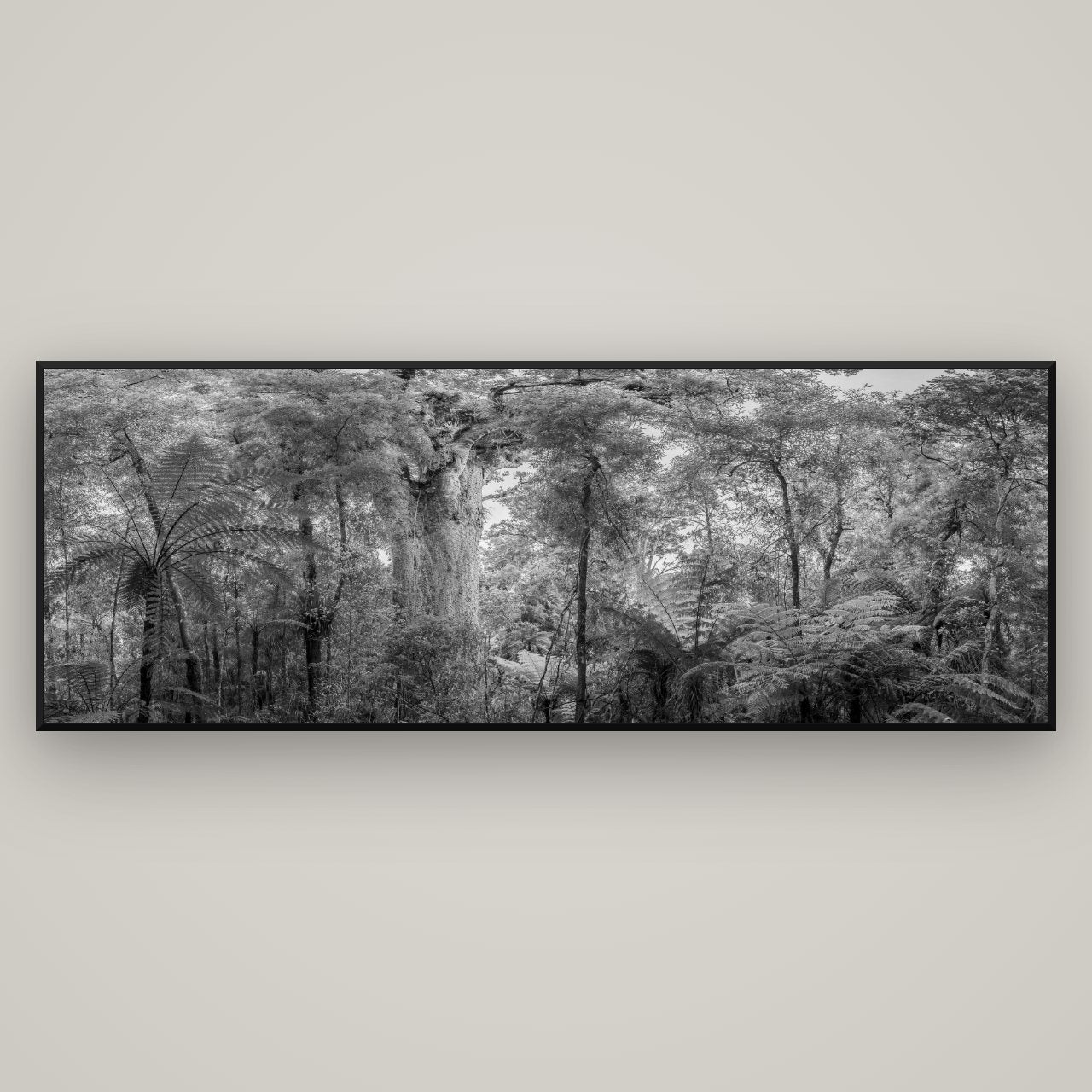 Cathedral of Giants, Ancient Kauri, Dargaville — Basel Black, 198×70 cm. New Zealand fine art wall art by Stephen Milner.