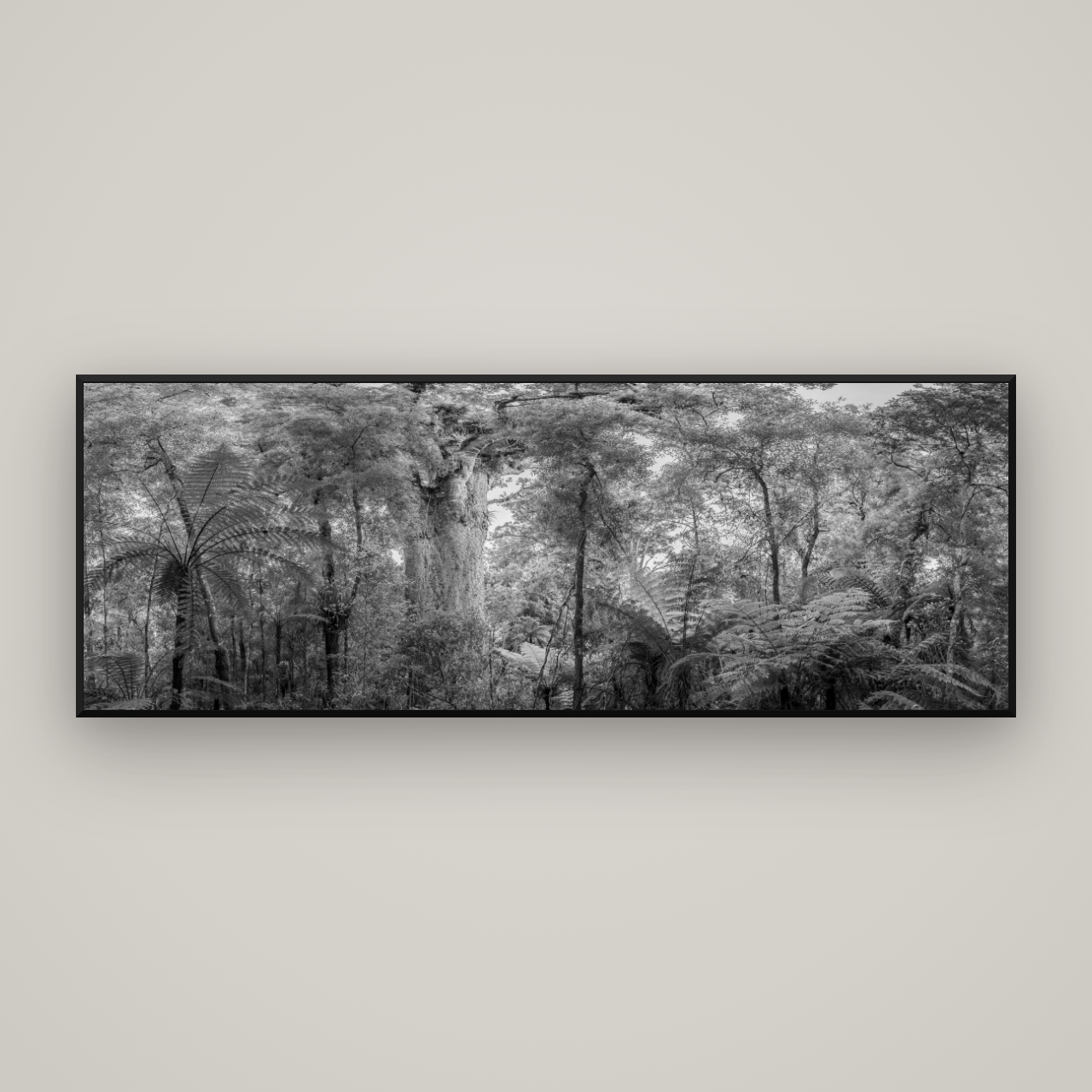 Cathedral of Giants, Ancient Kauri, Dargaville — Basel Black Matte, 198×70 cm. New Zealand fine art wall art by Stephen Milner.
