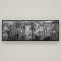 Cathedral of Giants, Ancient Kauri, Dargaville — Basel Black Matte, 227×80 cm. New Zealand fine art wall art by Stephen Milner.