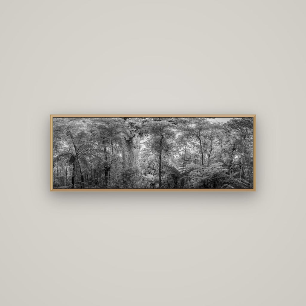 Cathedral of Giants, Ancient Kauri, Dargaville, Basel Natural Oak, 113×40 cm. New Zealand fine art wall art by Stephen Milner.