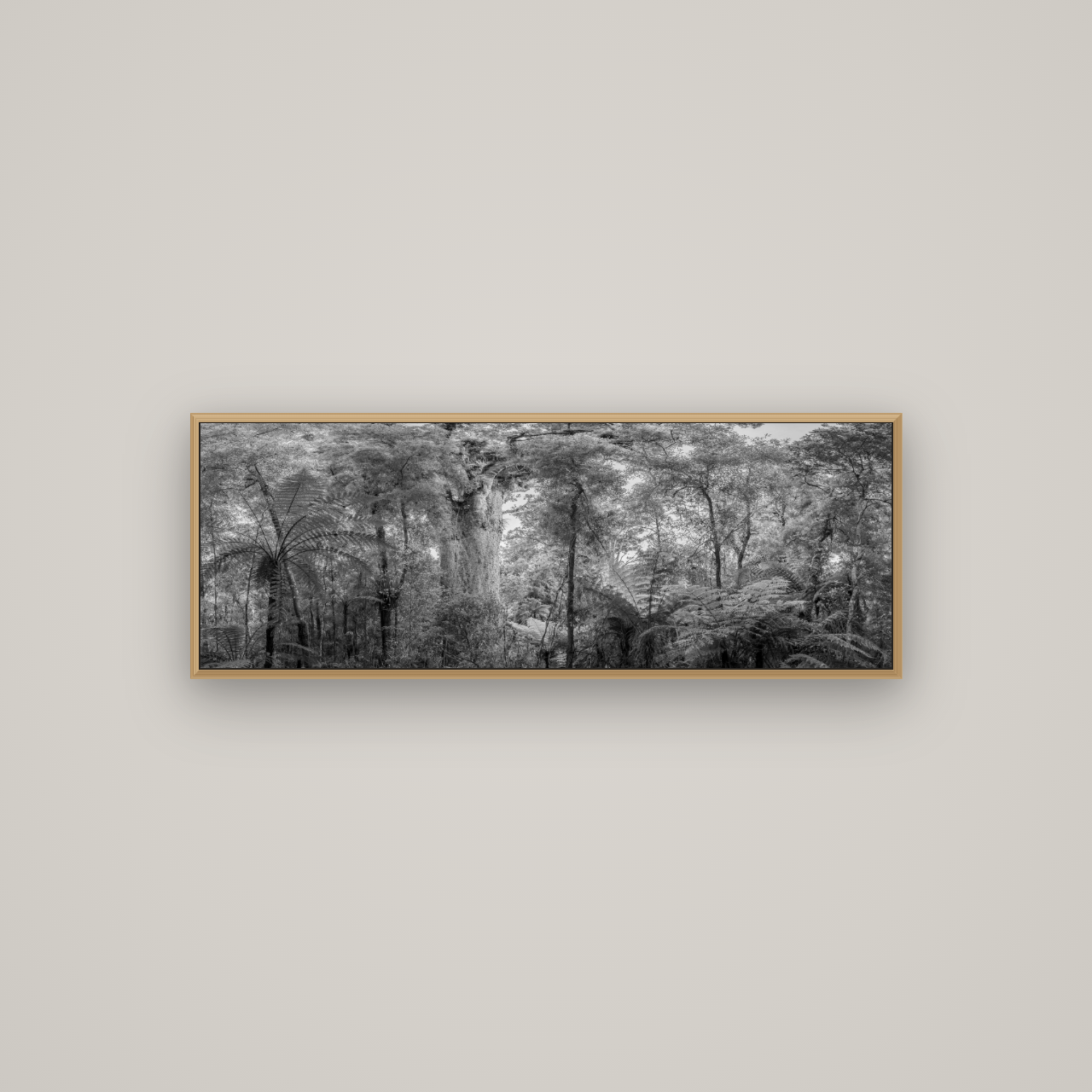 Cathedral of Giants, Ancient Kauri, Dargaville, Basel Natural Oak, 113×40 cm. New Zealand fine art wall art by Stephen Milner.