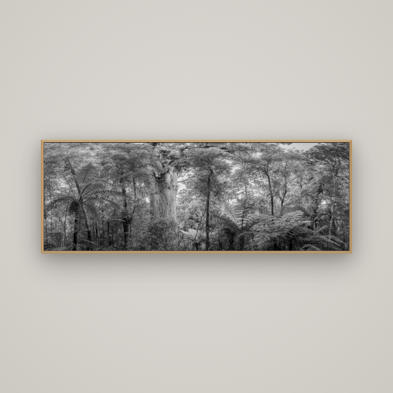 Cathedral of Giants, Ancient Kauri, Dargaville, Basel Natural Oak, 170×60 cm. New Zealand fine art wall art by Stephen Milner.