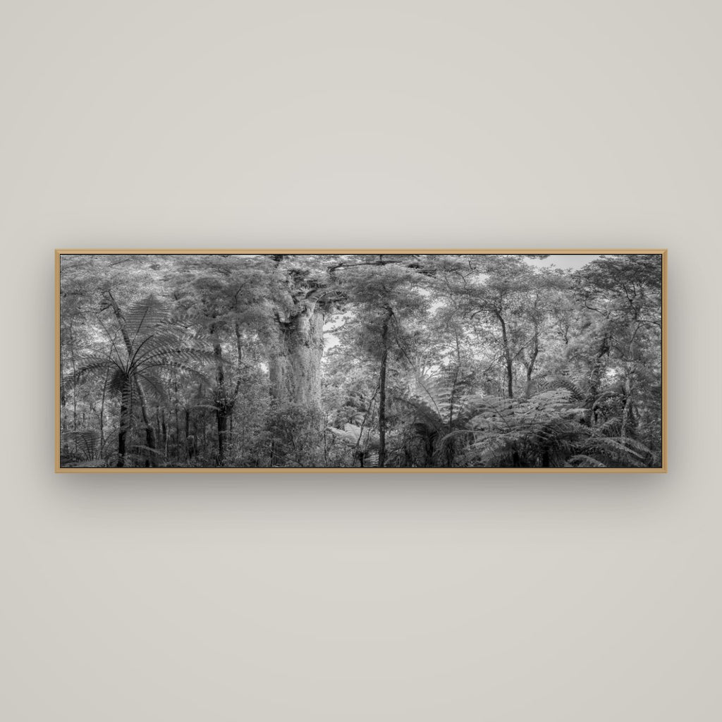 Cathedral of Giants, Ancient Kauri, Dargaville, Basel Natural Oak, 170×60 cm. New Zealand fine art wall art by Stephen Milner.