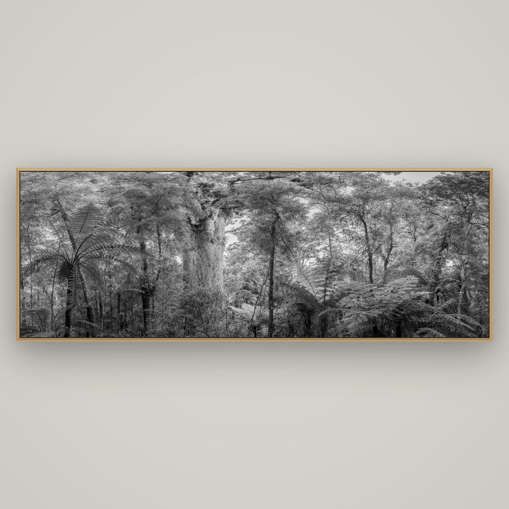 Cathedral of Giants, Ancient Kauri, Dargaville, Basel Natural Oak, 198×70 cm. New Zealand fine art wall art by Stephen Milner.