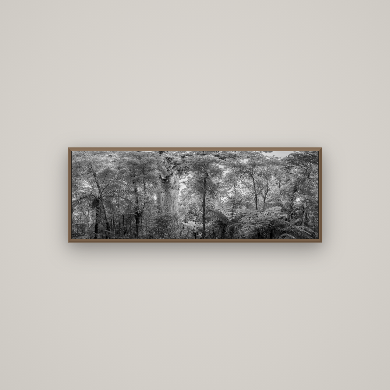 Cathedral of Giants, Ancient Kauri, Dargaville, Basel Walnut, 113×40 cm. New Zealand fine art wall art by Stephen Milner.