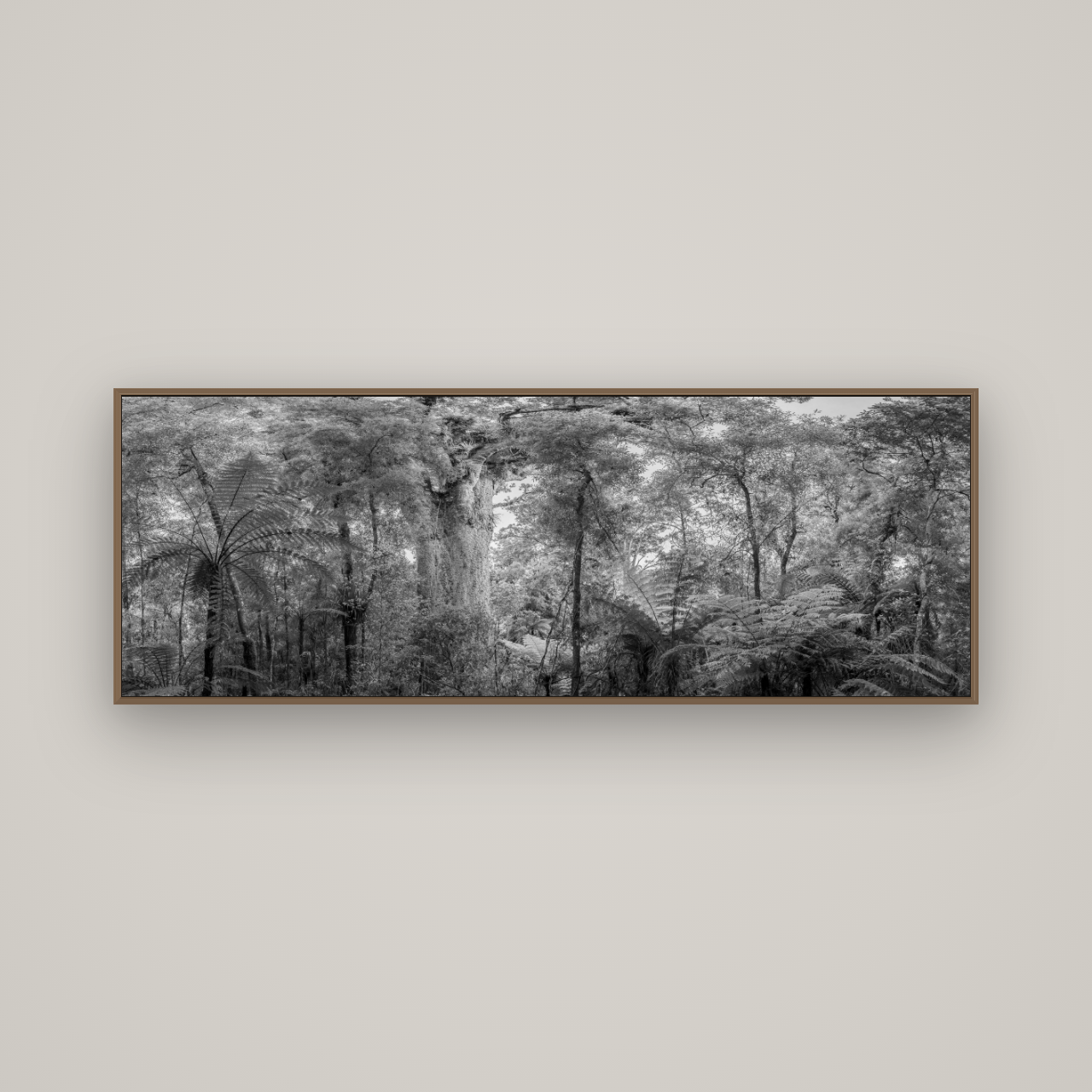Cathedral of Giants, Ancient Kauri, Dargaville, Basel Walnut, 170×60 cm. New Zealand fine art wall art by Stephen Milner.