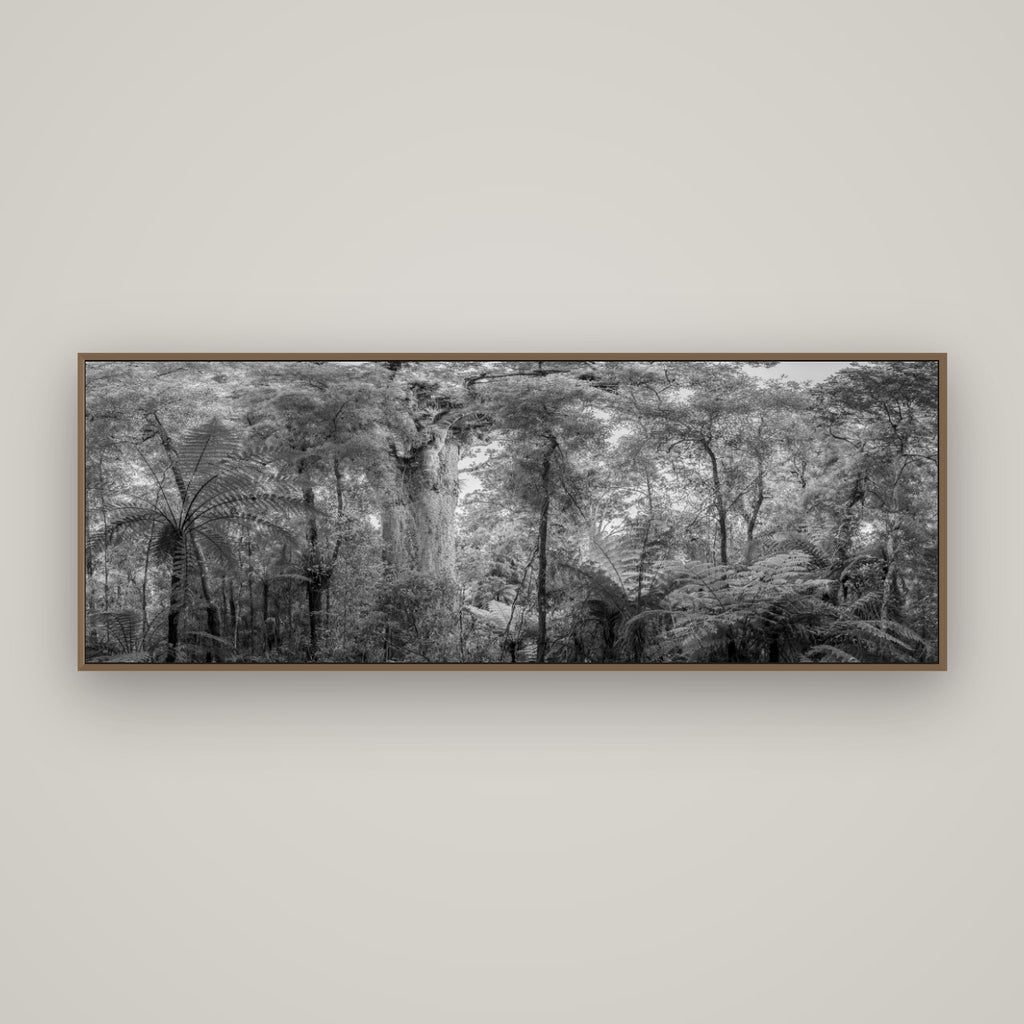 Cathedral of Giants, Ancient Kauri, Dargaville, Basel Walnut, 170×60 cm. New Zealand fine art wall art by Stephen Milner.
