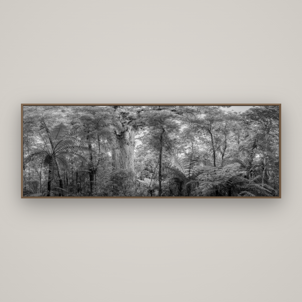 Cathedral of Giants, Ancient Kauri, Dargaville, Basel Walnut, 198×70 cm. New Zealand fine art wall art by Stephen Milner.