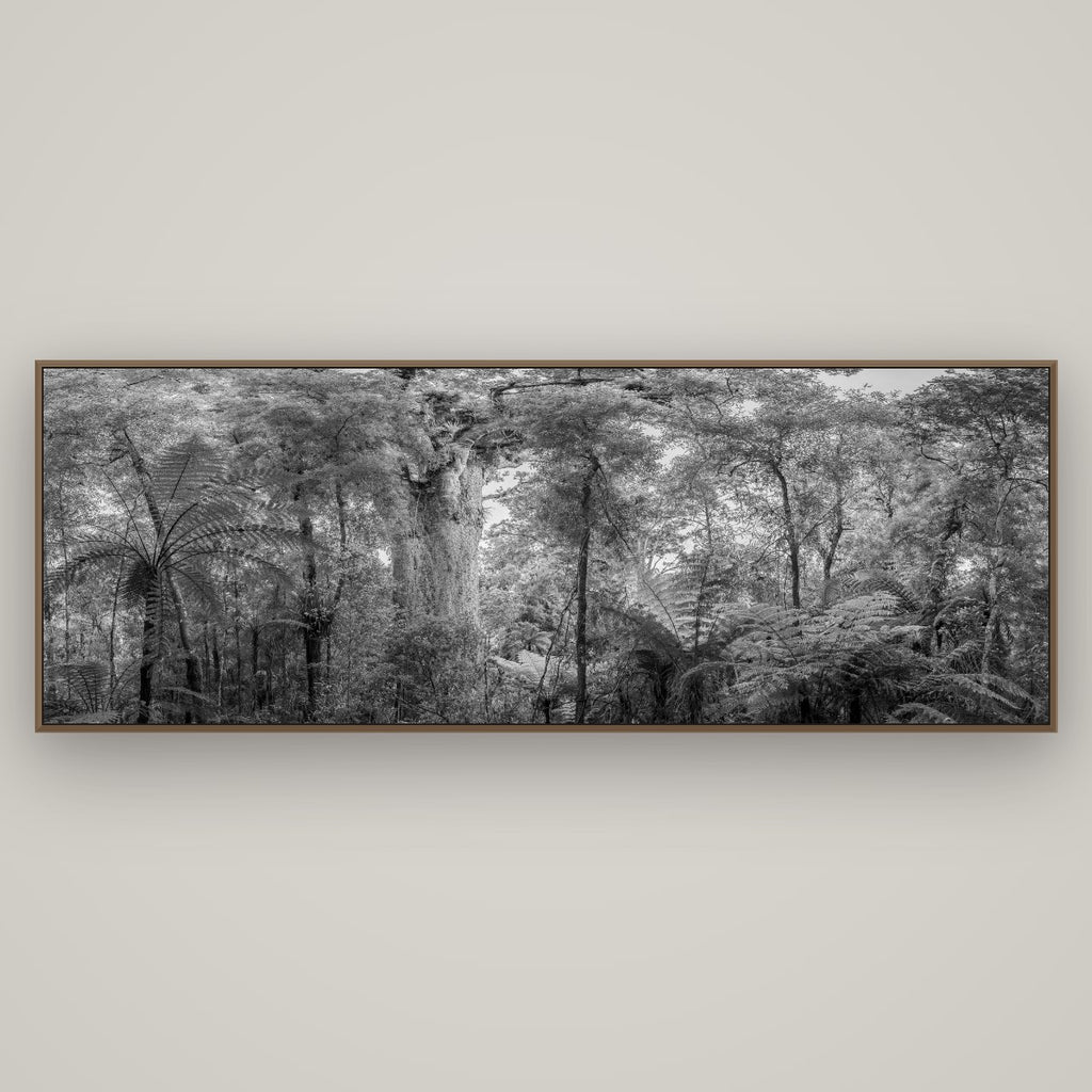 Cathedral of Giants, Ancient Kauri, Dargaville, Basel Walnut, 198×70 cm. New Zealand fine art wall art by Stephen Milner.