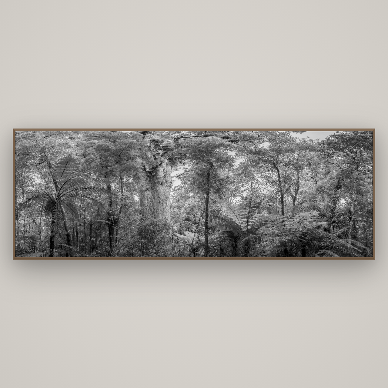Cathedral of Giants, Ancient Kauri, Dargaville, Basel Walnut, 227×80 cm. New Zealand fine art wall art by Stephen Milner.