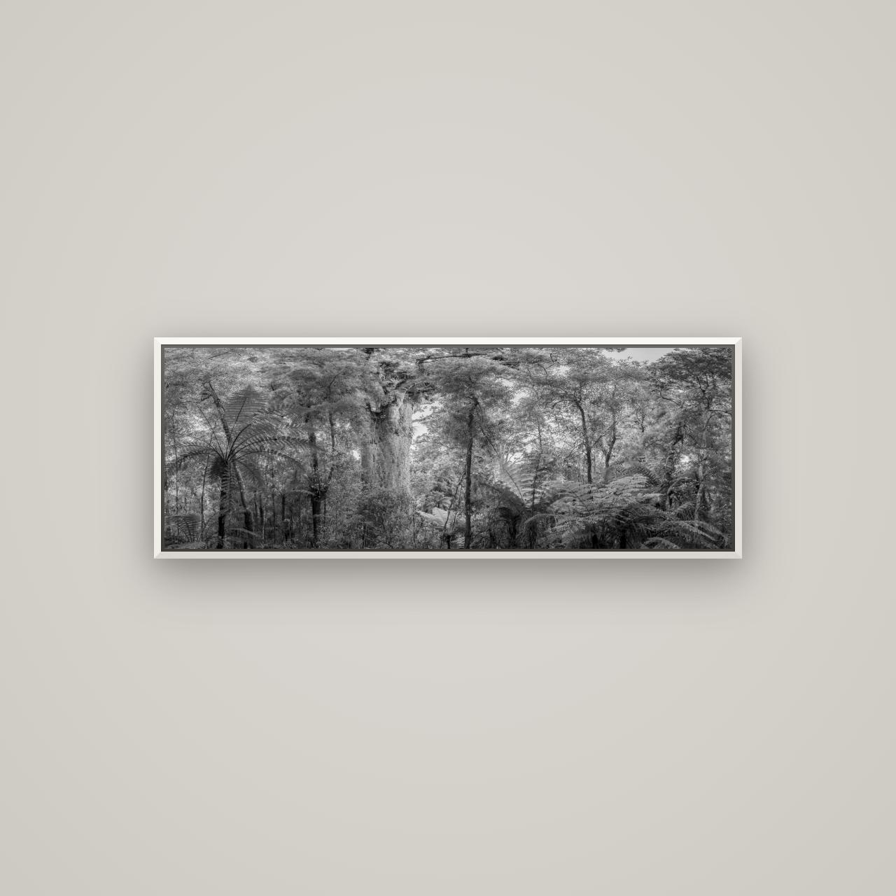 Cathedral of Giants, Ancient Kauri, Dargaville — Basel White, 113×40 cm. New Zealand fine art wall art by Stephen Milner.