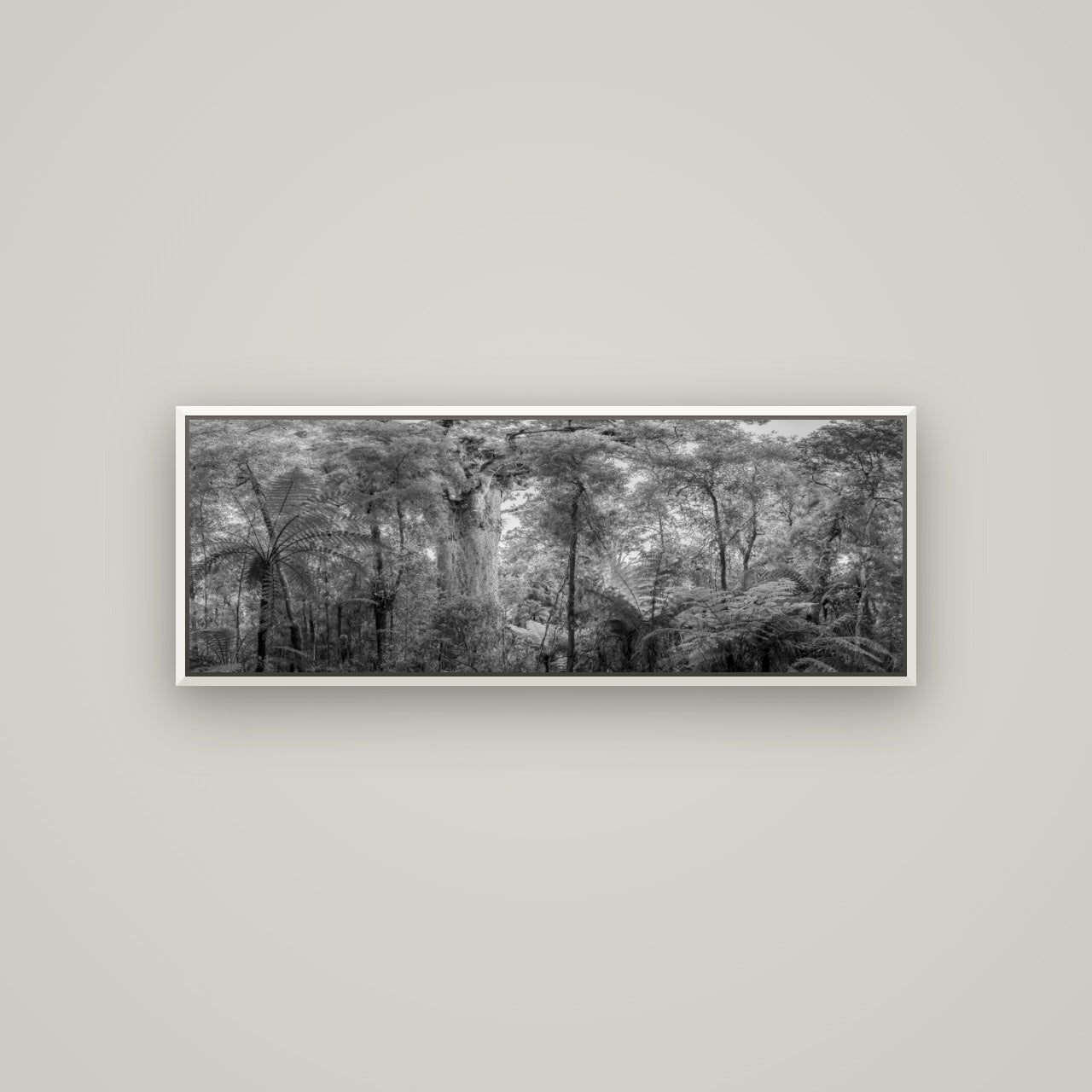 Cathedral of Giants, Ancient Kauri, Dargaville — Basel White, 113×40 cm. New Zealand fine art wall art by Stephen Milner.