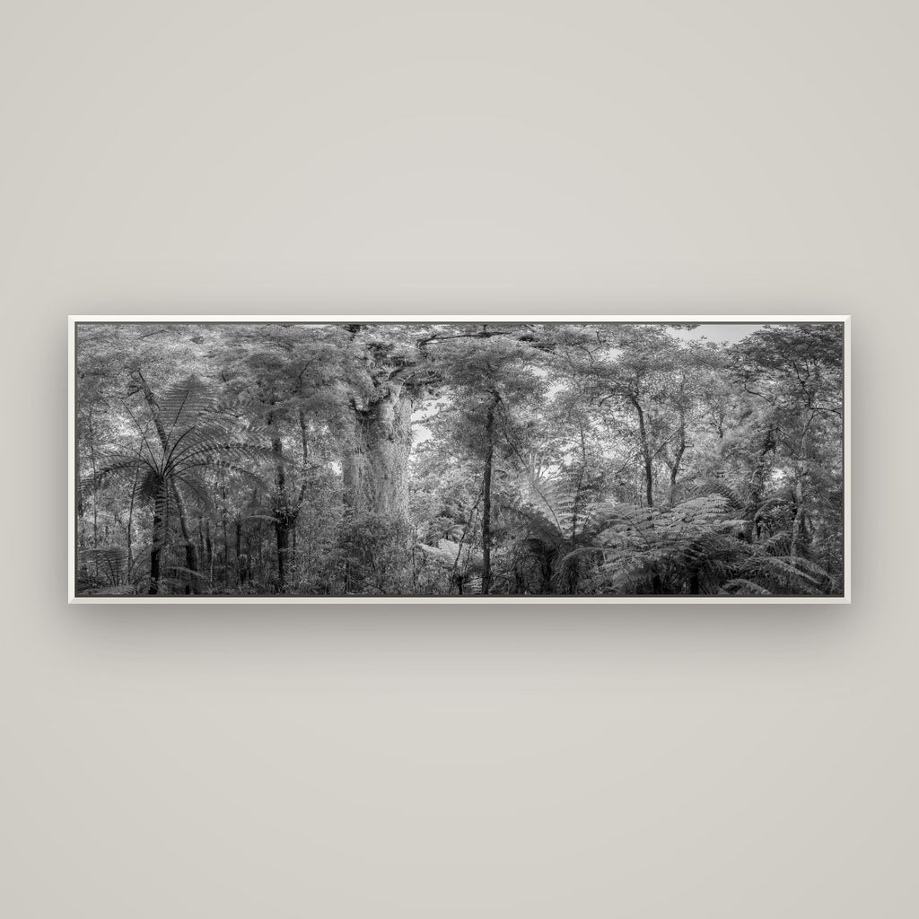 Cathedral of Giants, Ancient Kauri, Dargaville — Basel White, 170×60 cm. New Zealand fine art wall art by Stephen Milner.