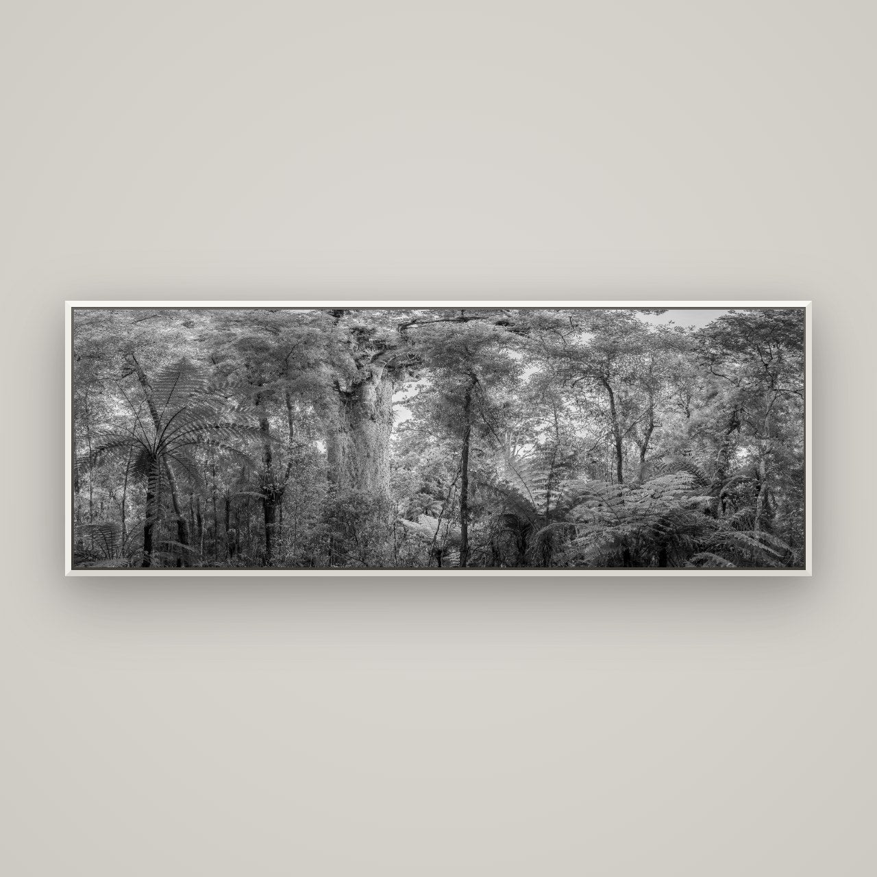 Cathedral of Giants, Ancient Kauri, Dargaville — Basel White, 170×60 cm. New Zealand fine art wall art by Stephen Milner.
