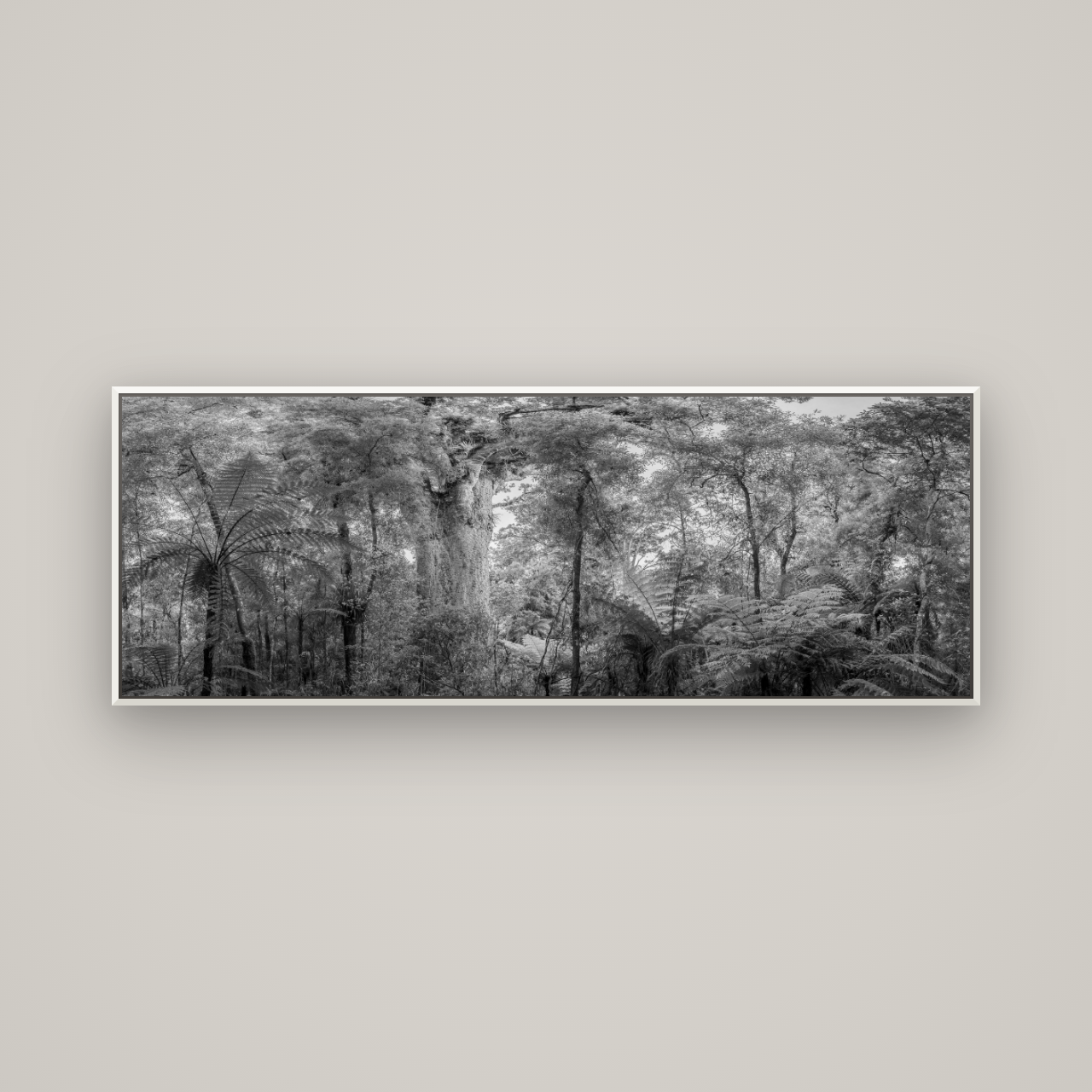 Cathedral of Giants, Ancient Kauri, Dargaville — Basel White, 170×60 cm. New Zealand fine art wall art by Stephen Milner.