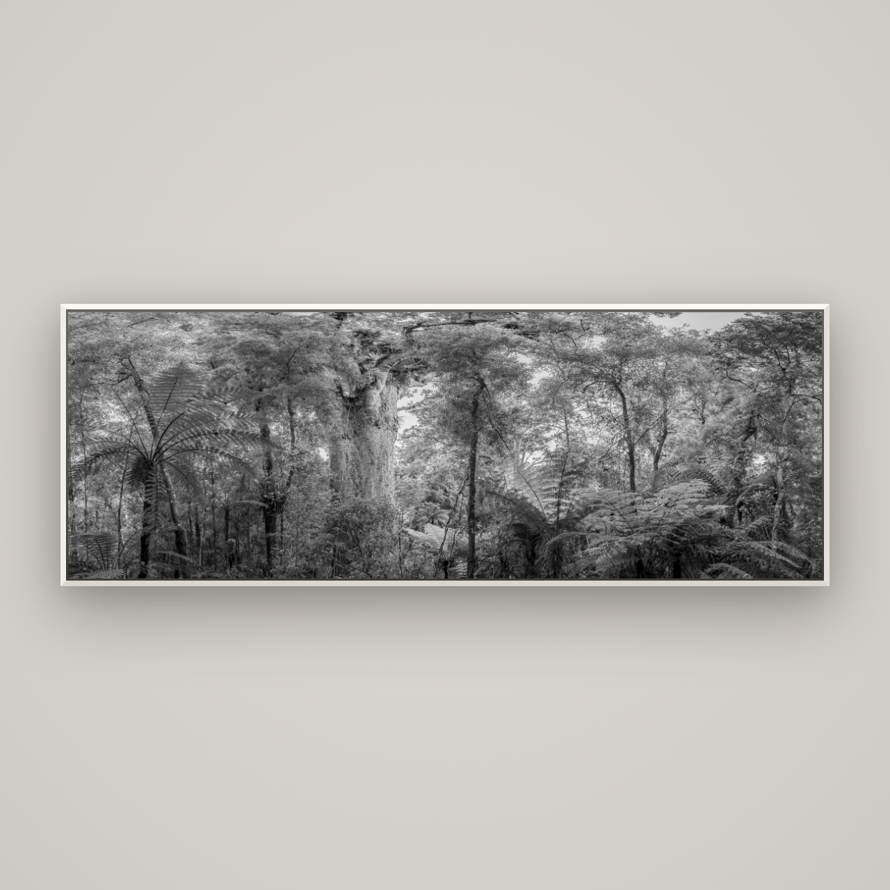 Cathedral of Giants, Ancient Kauri, Dargaville — Basel White, 198×70 cm. New Zealand fine art wall art by Stephen Milner.