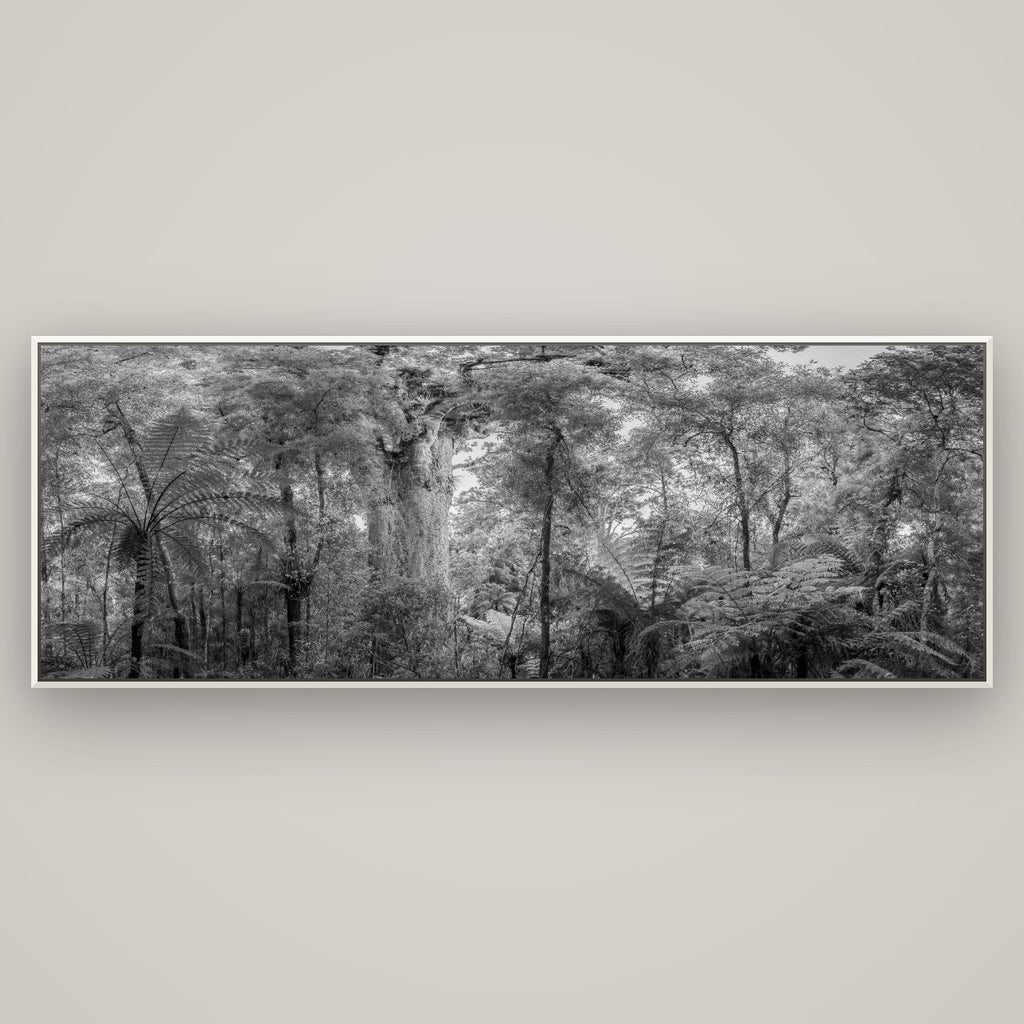 Cathedral of Giants, Ancient Kauri, Dargaville — Basel White, 198×70 cm. New Zealand fine art wall art by Stephen Milner.