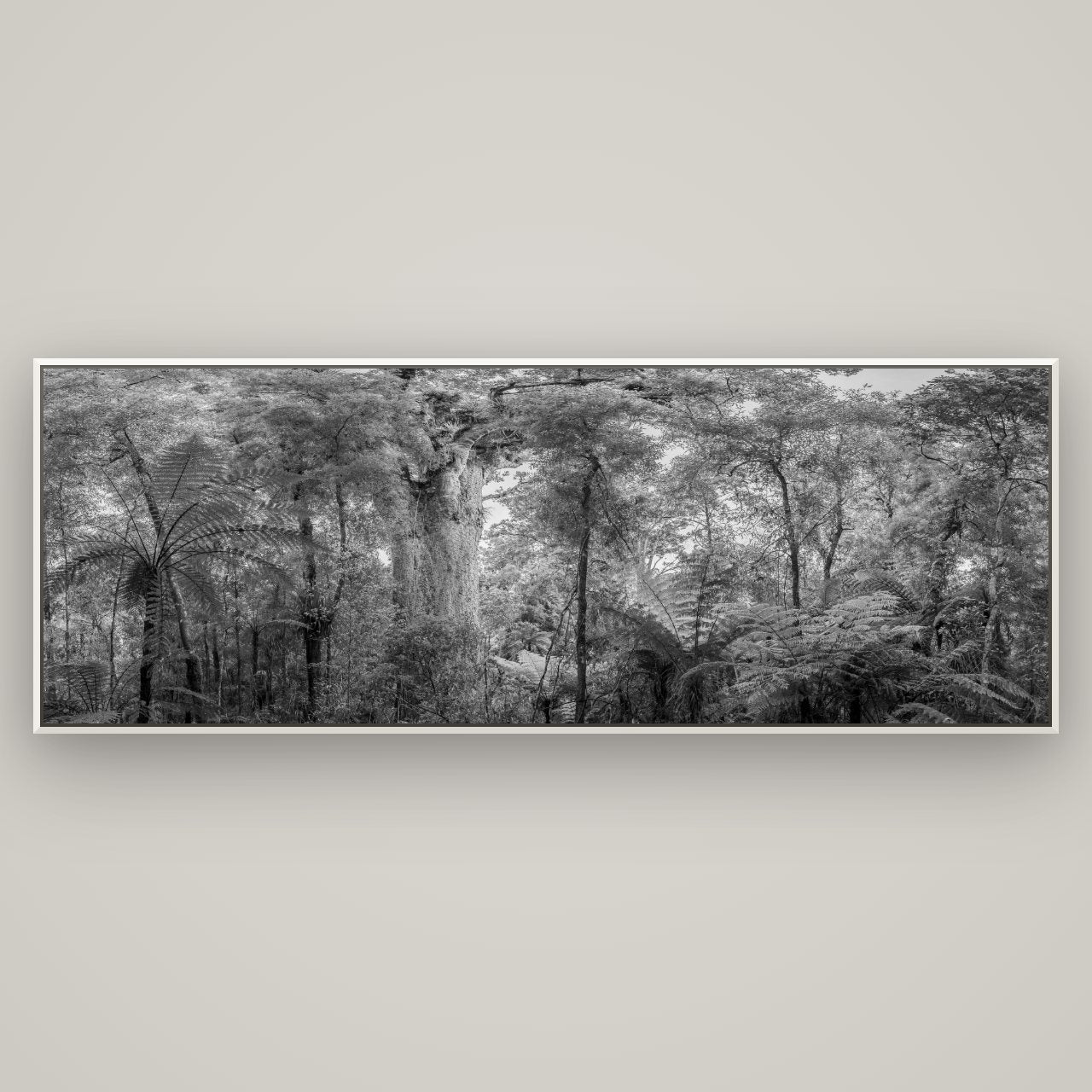 Cathedral of Giants, Ancient Kauri, Dargaville — Basel White, 198×70 cm. New Zealand fine art wall art by Stephen Milner.
