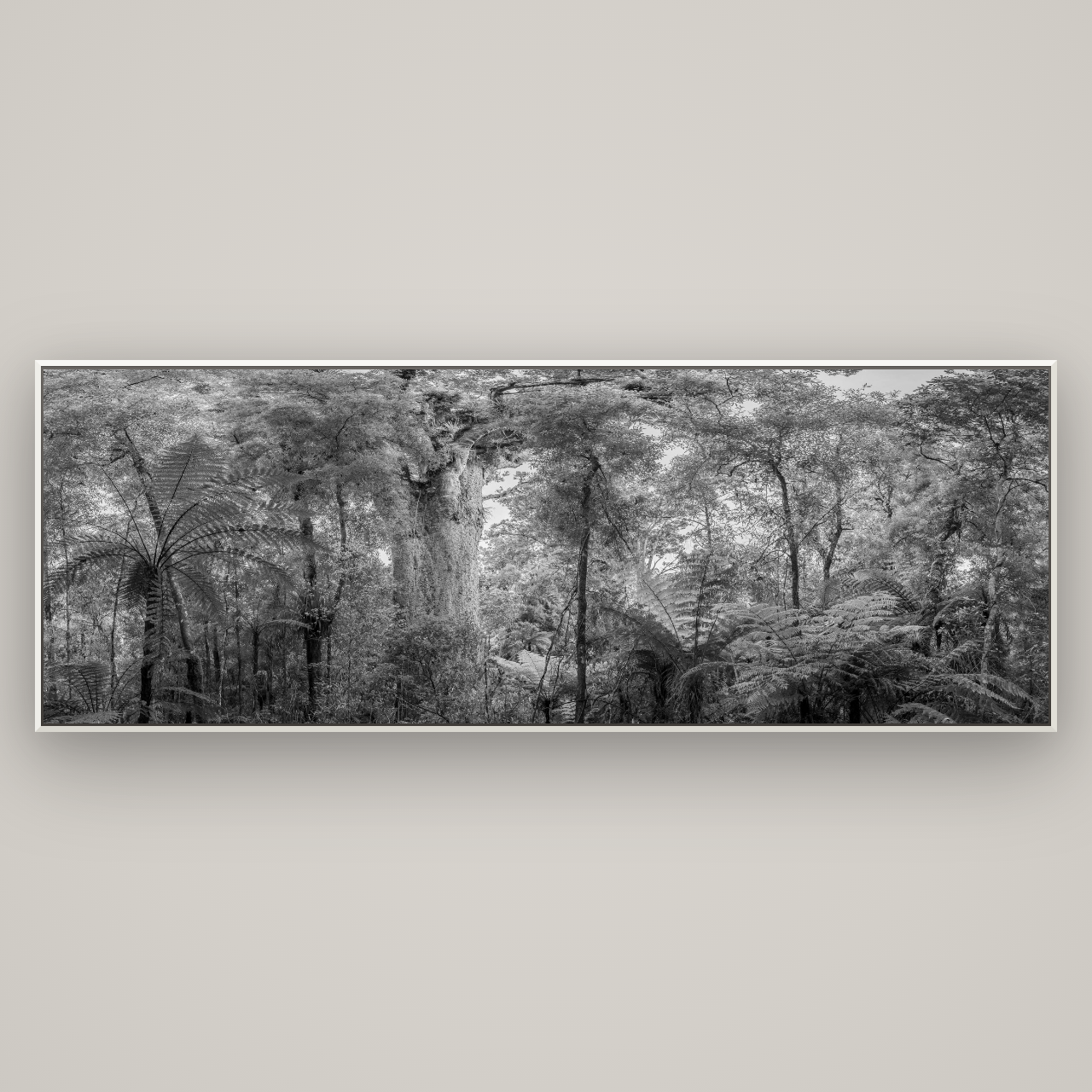 Cathedral of Giants, Ancient Kauri, Dargaville — Basel White, 227×80 cm. New Zealand fine art wall art by Stephen Milner.