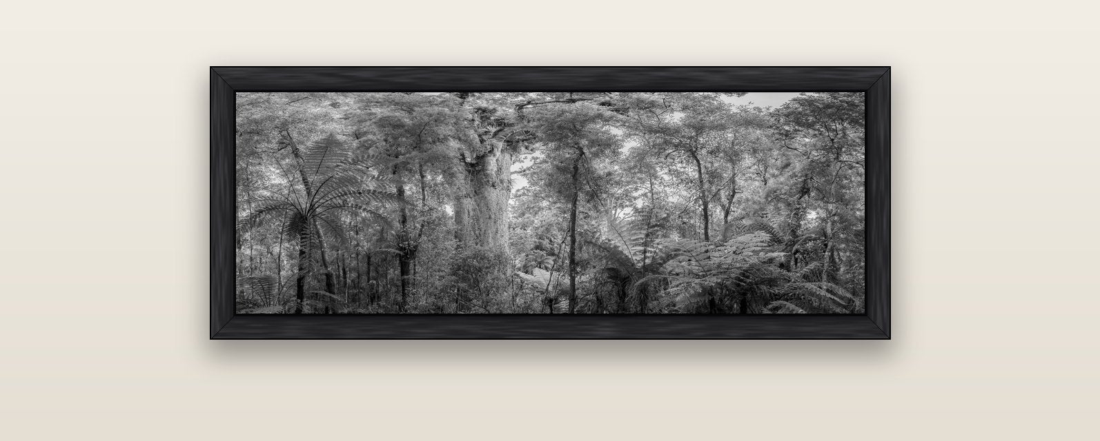 Cathedral of Giants, Ancient Kauri, Dargaville — black float frame canvas, 102 × 36 cm. New Zealand fine art landscape wall art by Stephen Milner.