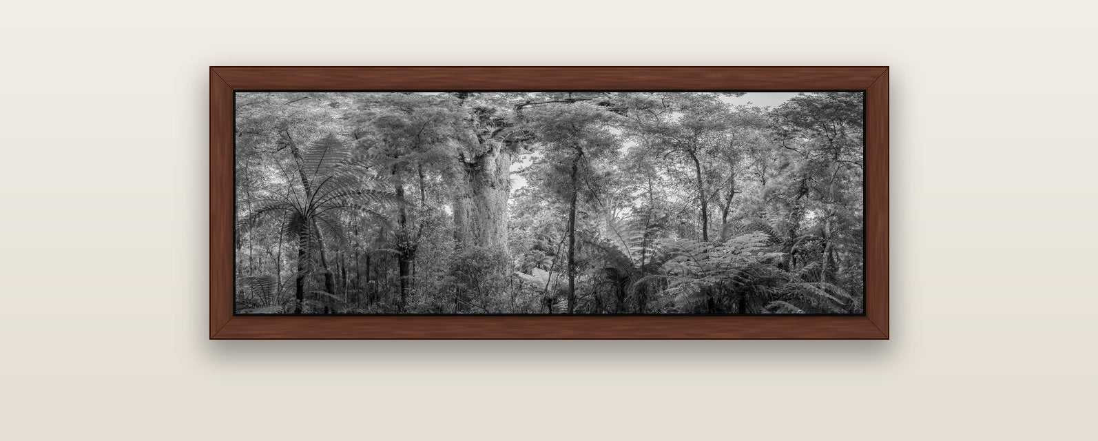 Cathedral of Giants, Ancient Kauri, Dargaville — brown float frame canvas, 102 × 36 cm. New Zealand fine art landscape wall art by Stephen Milner.