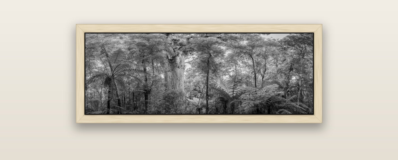 Cathedral of Giants, Ancient Kauri, Dargaville — natural float frame canvas, 102 × 36 cm. New Zealand fine art landscape wall art by Stephen Milner.