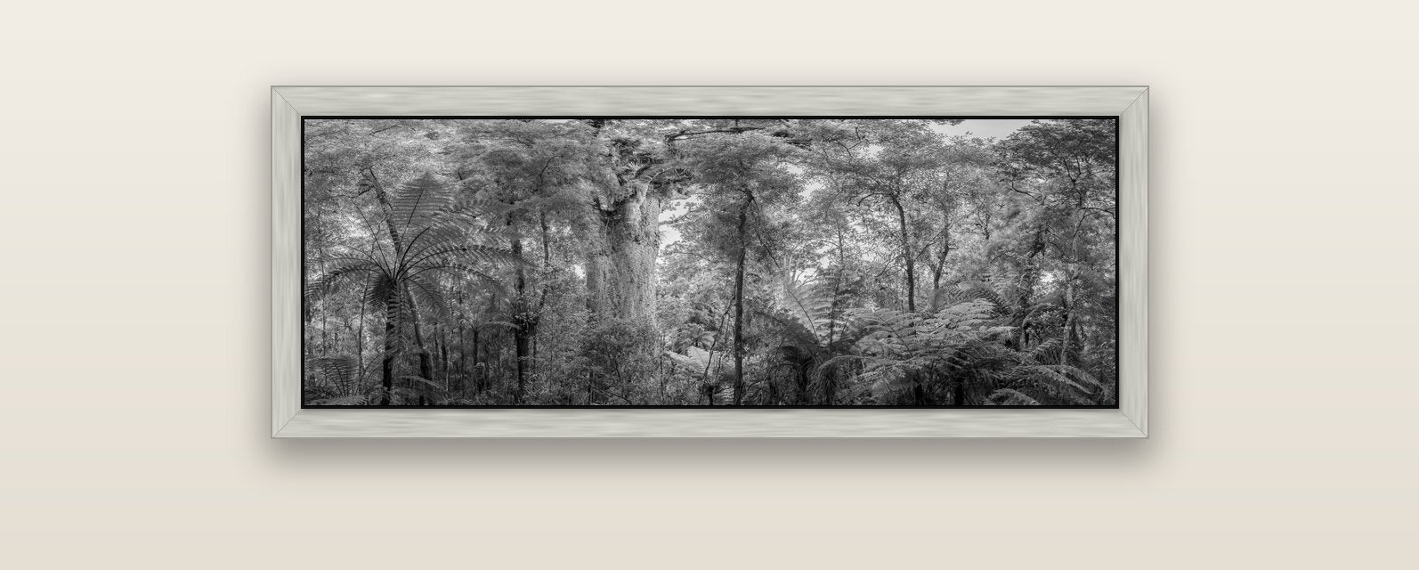 Cathedral of Giants, Ancient Kauri, Dargaville — silver float frame canvas, 102 × 36 cm. New Zealand fine art landscape wall art by Stephen Milner.