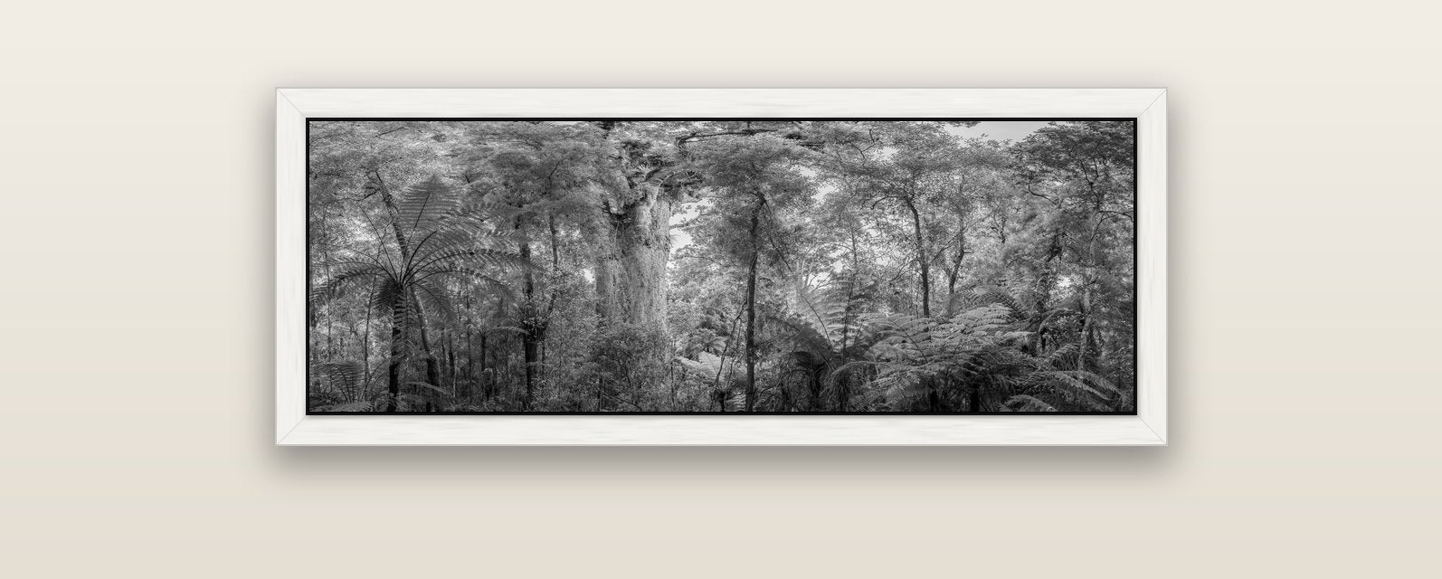 Cathedral of Giants, Ancient Kauri, Dargaville — white float frame canvas, 102 × 36 cm. New Zealand fine art landscape wall art by Stephen Milner.