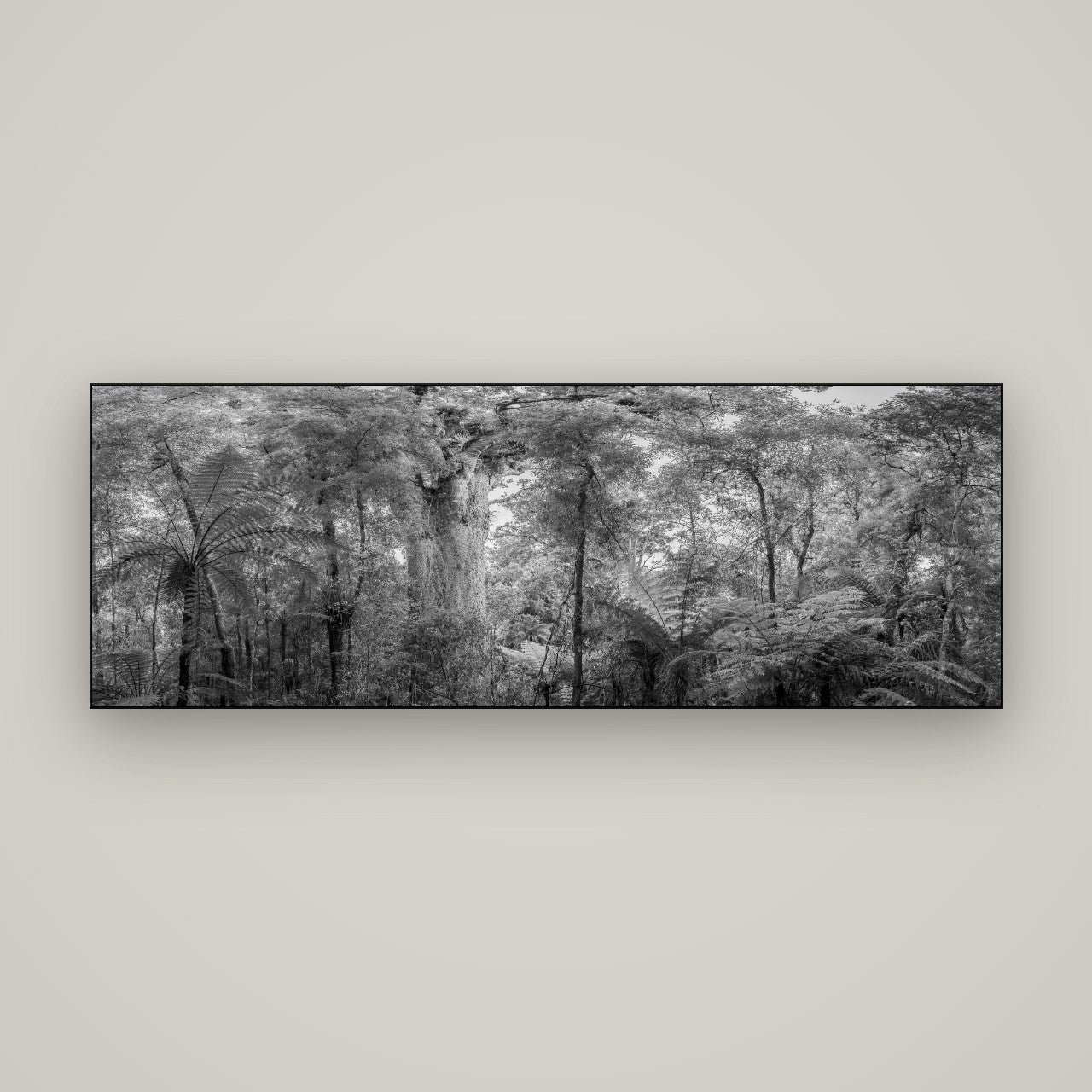 Cathedral of Giants, Ancient Kauri, Dargaville — Slimline Black, 170×60 cm. New Zealand fine art wall art by Stephen Milner.
