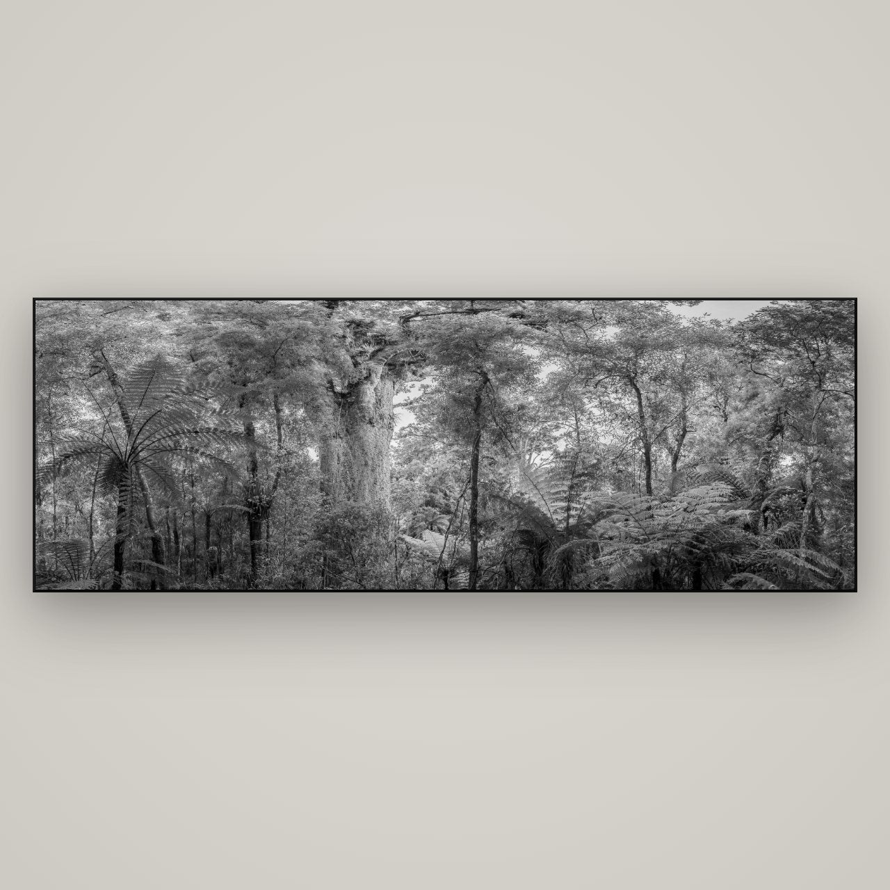 Cathedral of Giants, Ancient Kauri, Dargaville — Slimline Black, 198×70 cm. New Zealand fine art wall art by Stephen Milner.