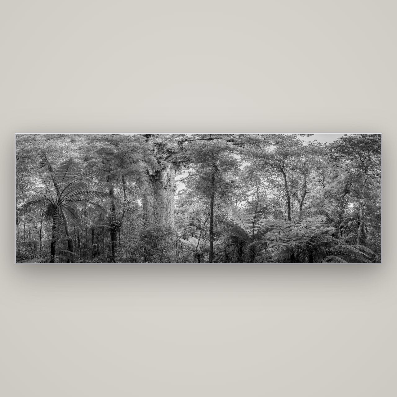 Cathedral of Giants, Ancient Kauri, Dargaville — Slimline Silver, 198×70 cm. New Zealand fine art wall art by Stephen Milner.